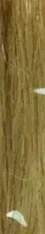 OIP+%284%29.webp