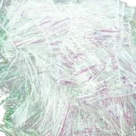 PALMCH-6.jpg
