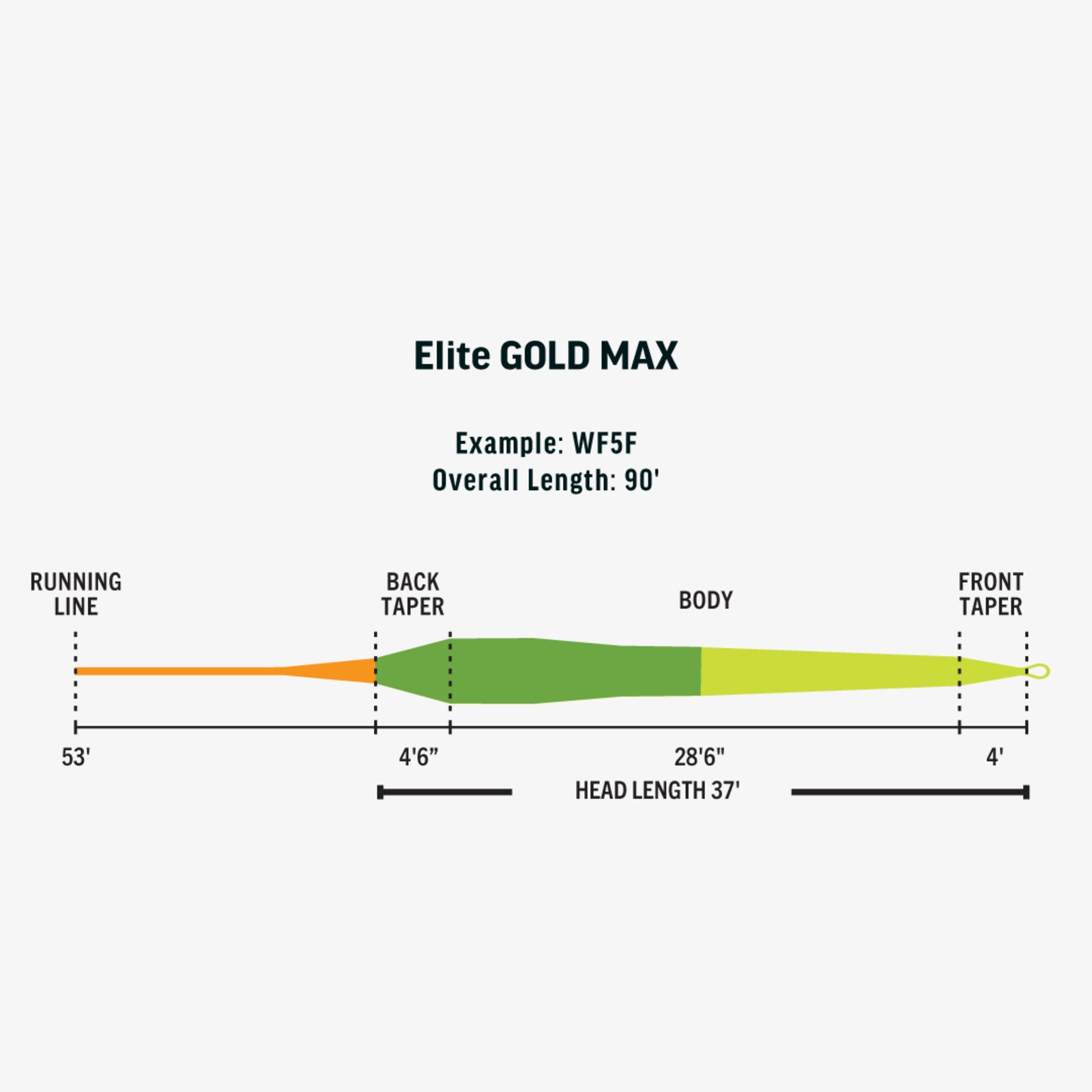 Elite Gold Max Taper.jpg