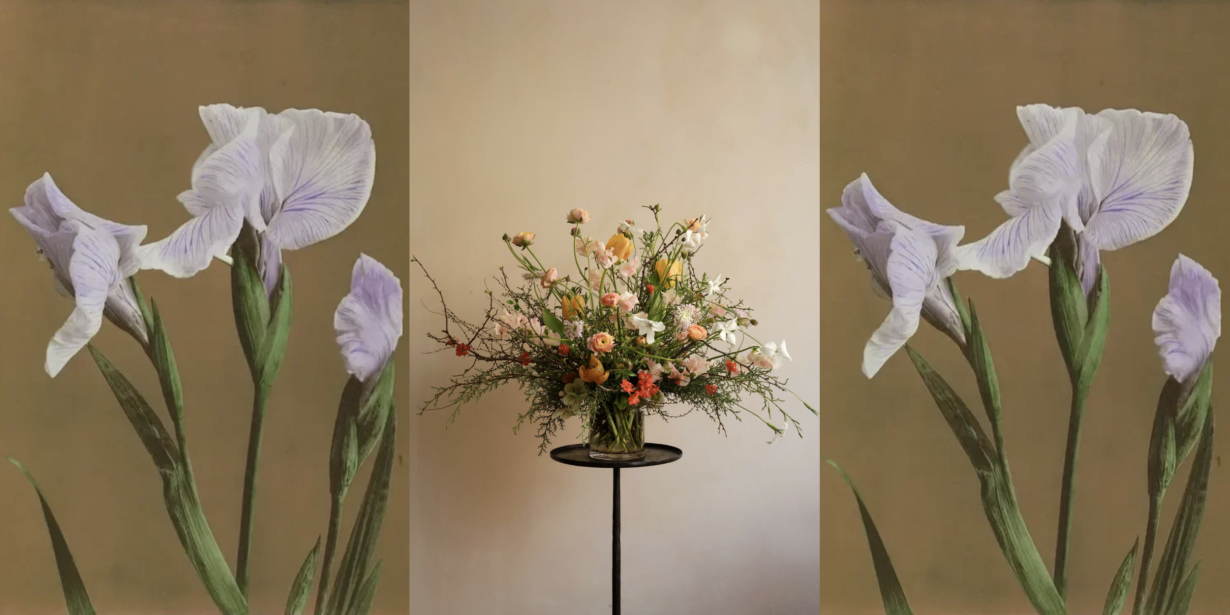 Screenshot 2026-03-10 at 9.37.26 AM.png