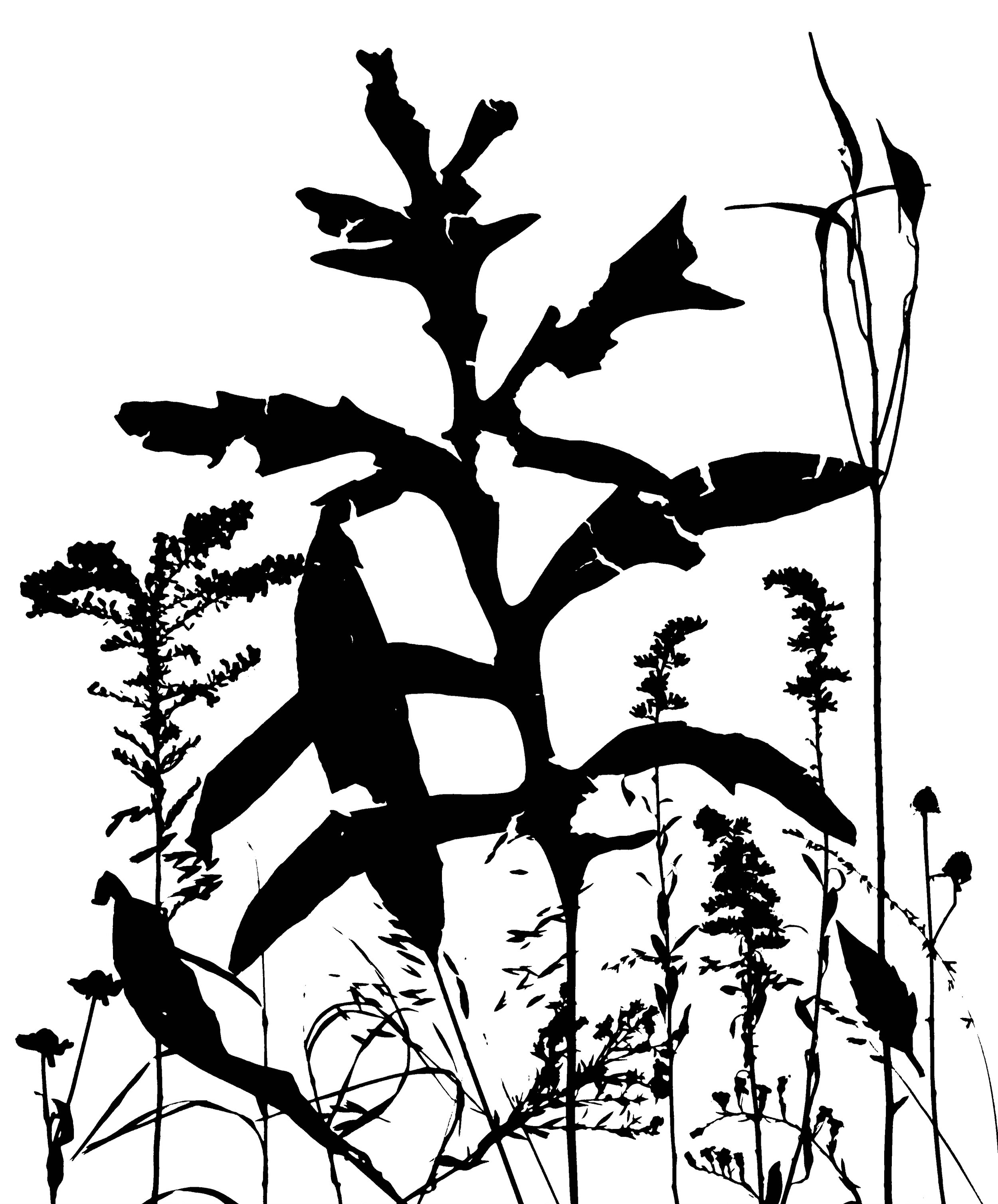 Fall Prairie 1
16x20.  1B