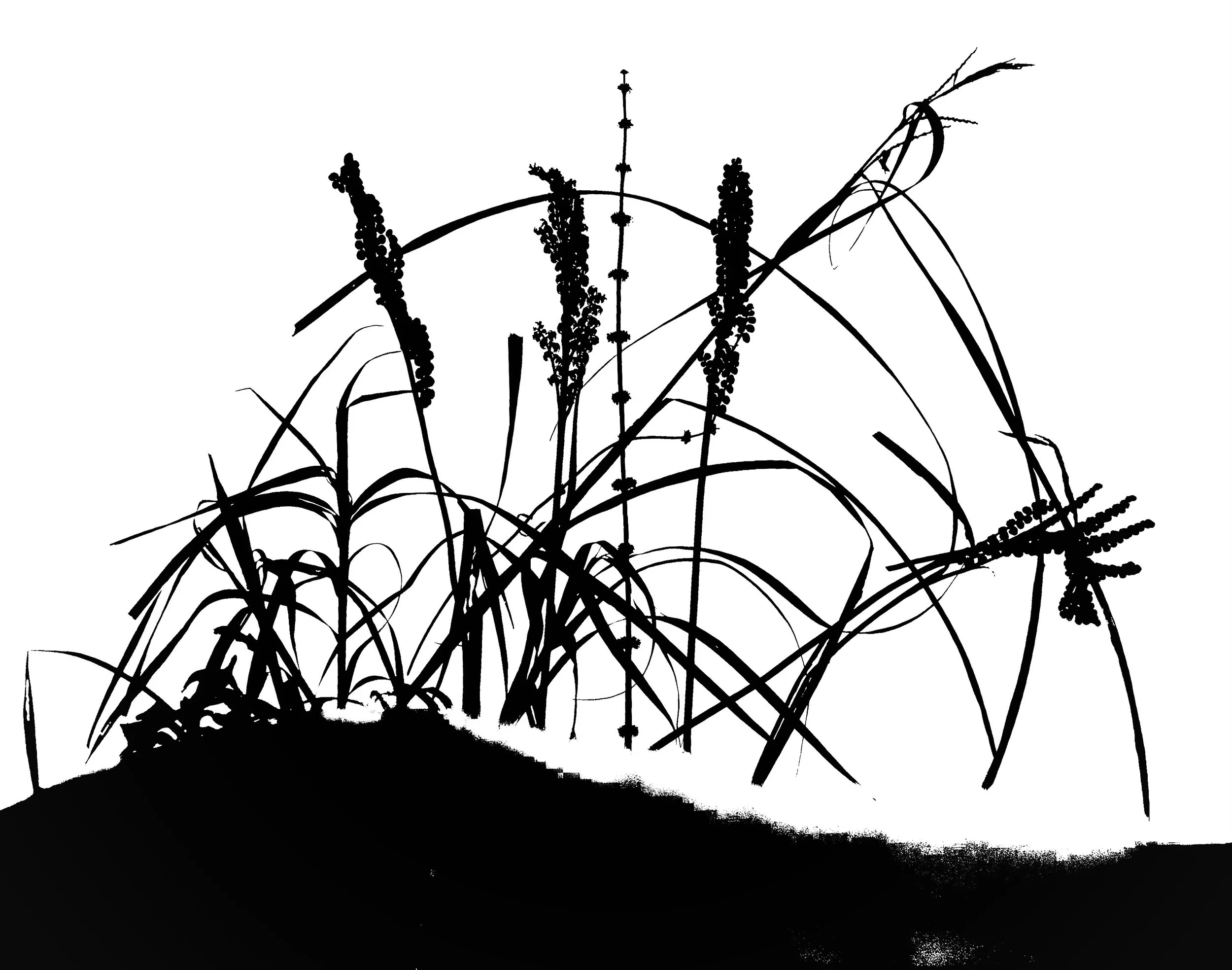 Prairie winter scene 3B. 11x14