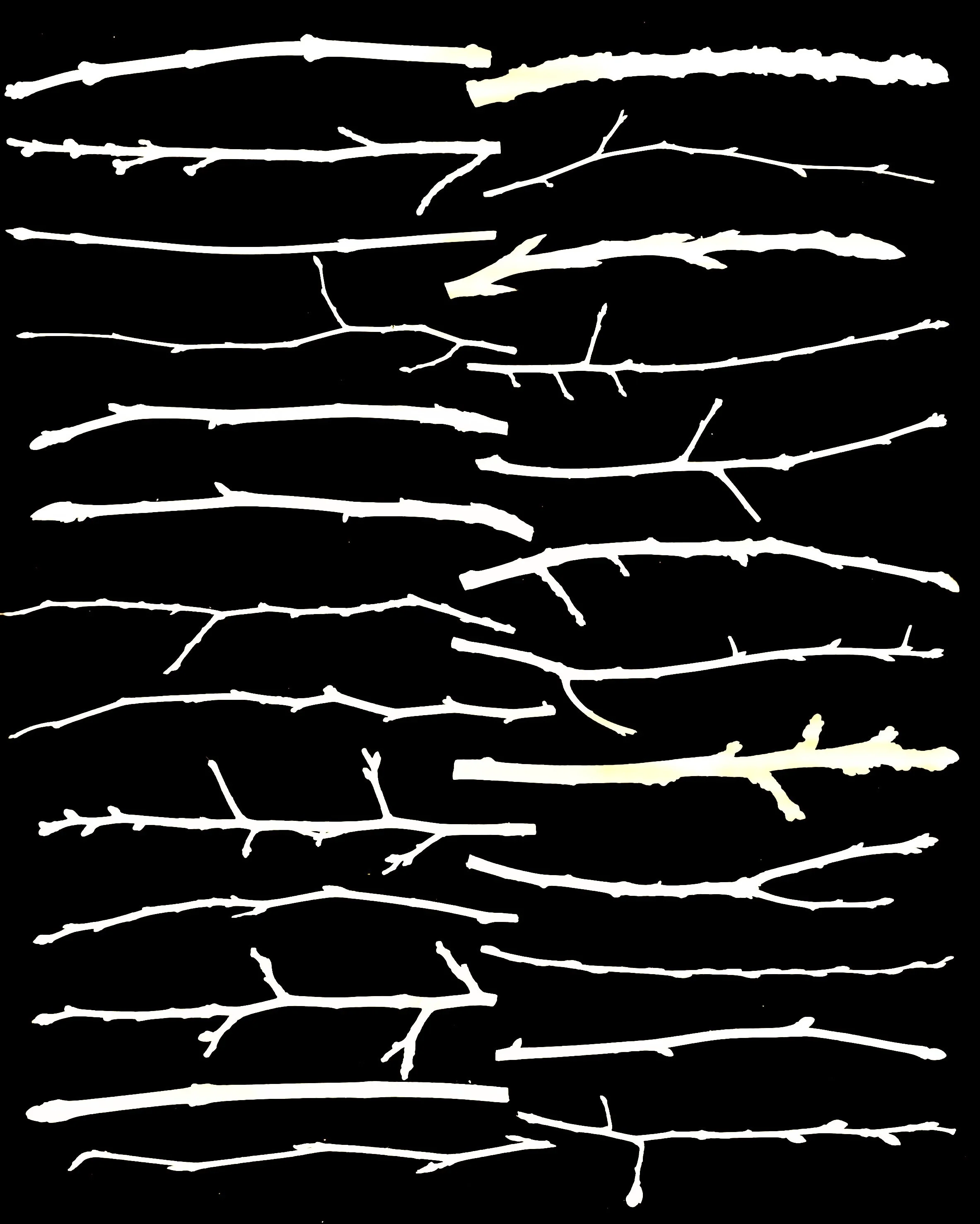 Dormant Native Tree Twigs, NE Illinois
20x24.   1 of 4         Names later