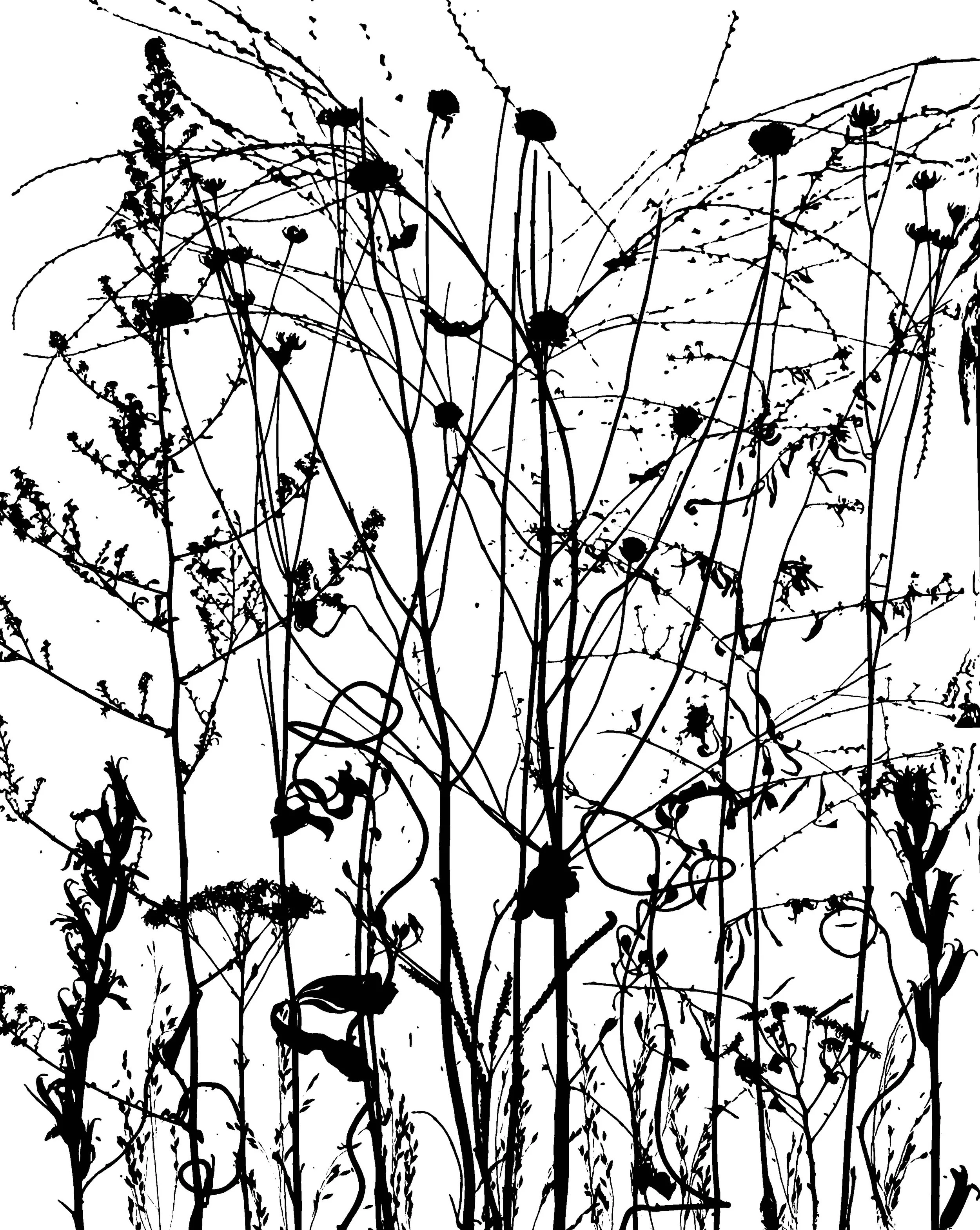 Dormant Prairie Plants
20x24. 1B