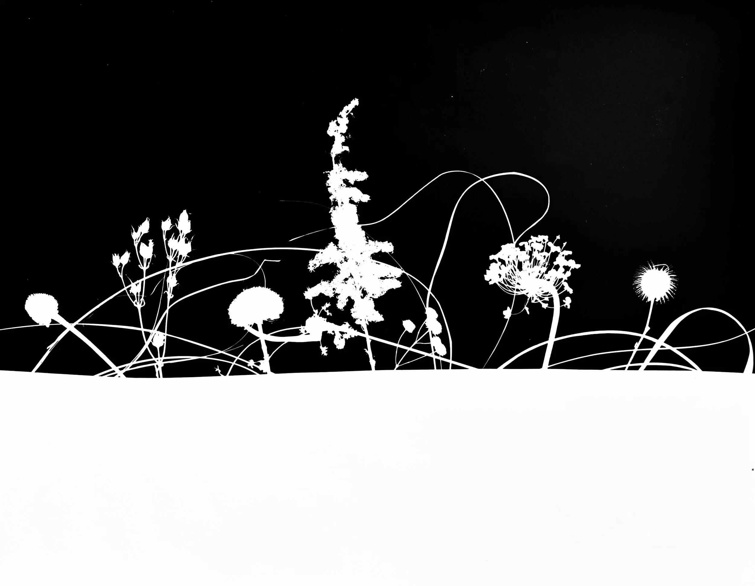 Prairie winter scene 6A.  11x14