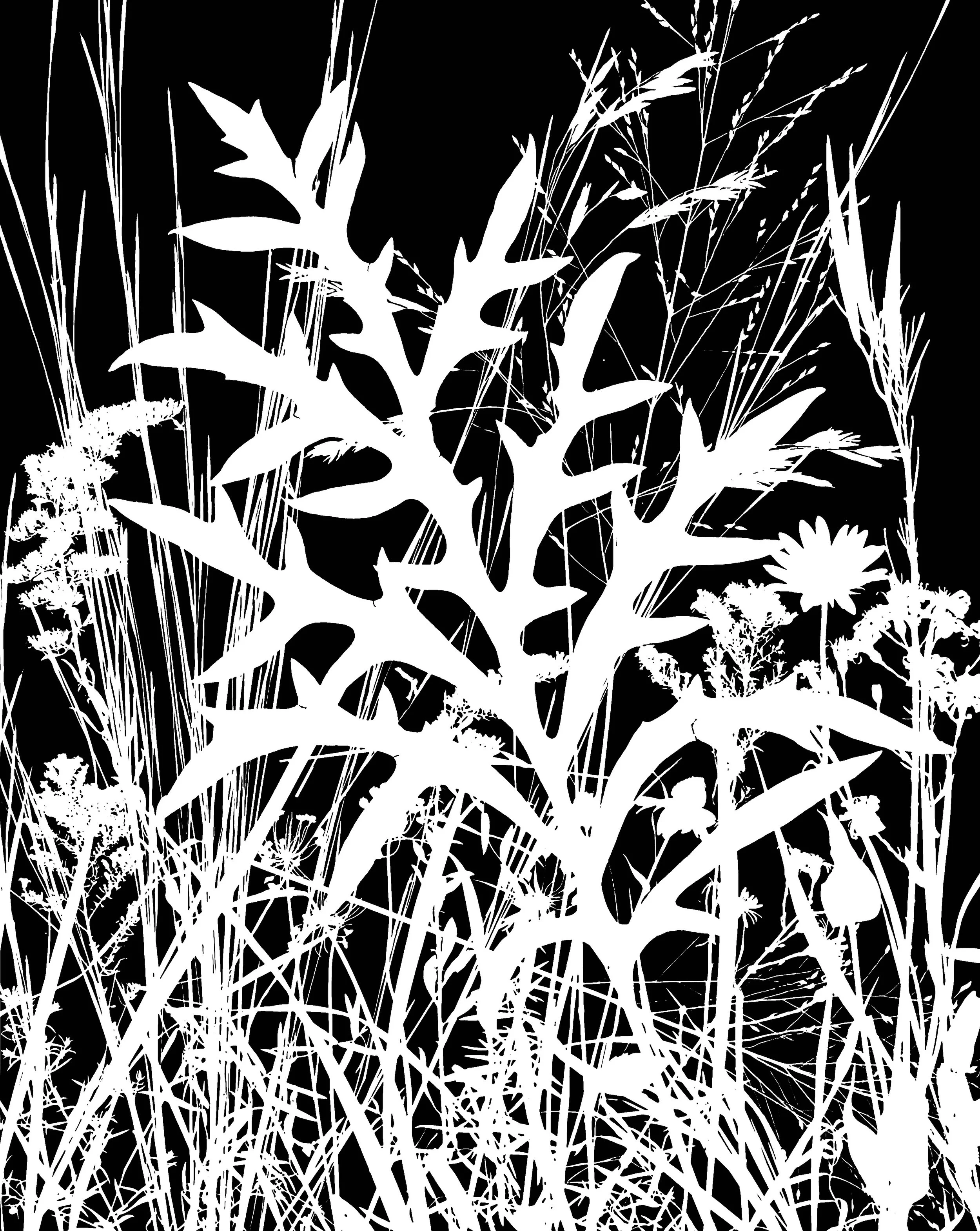 Fall Prairie 2
16x20   1A