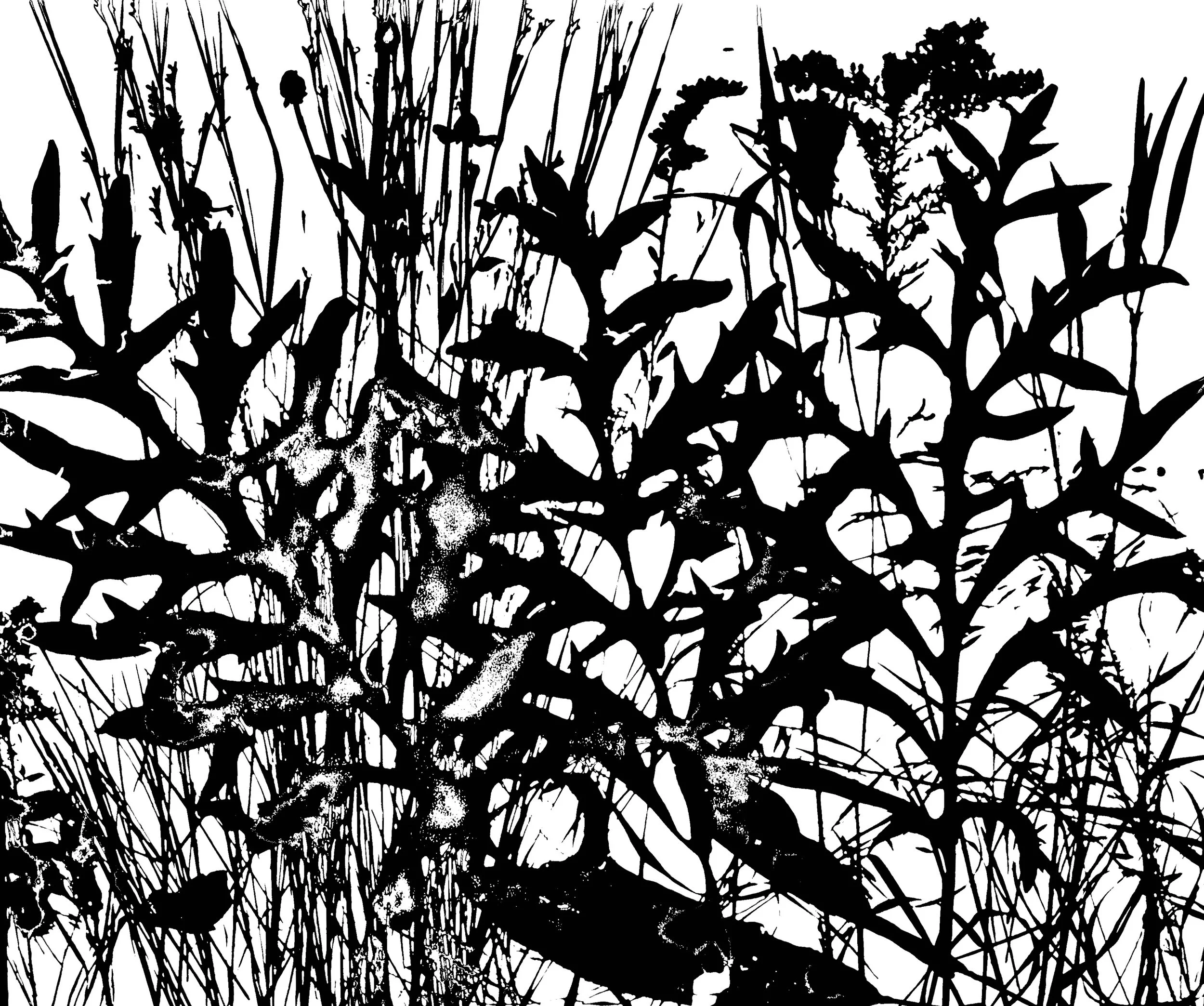 Late Summer Prairie 
20x24.  1B