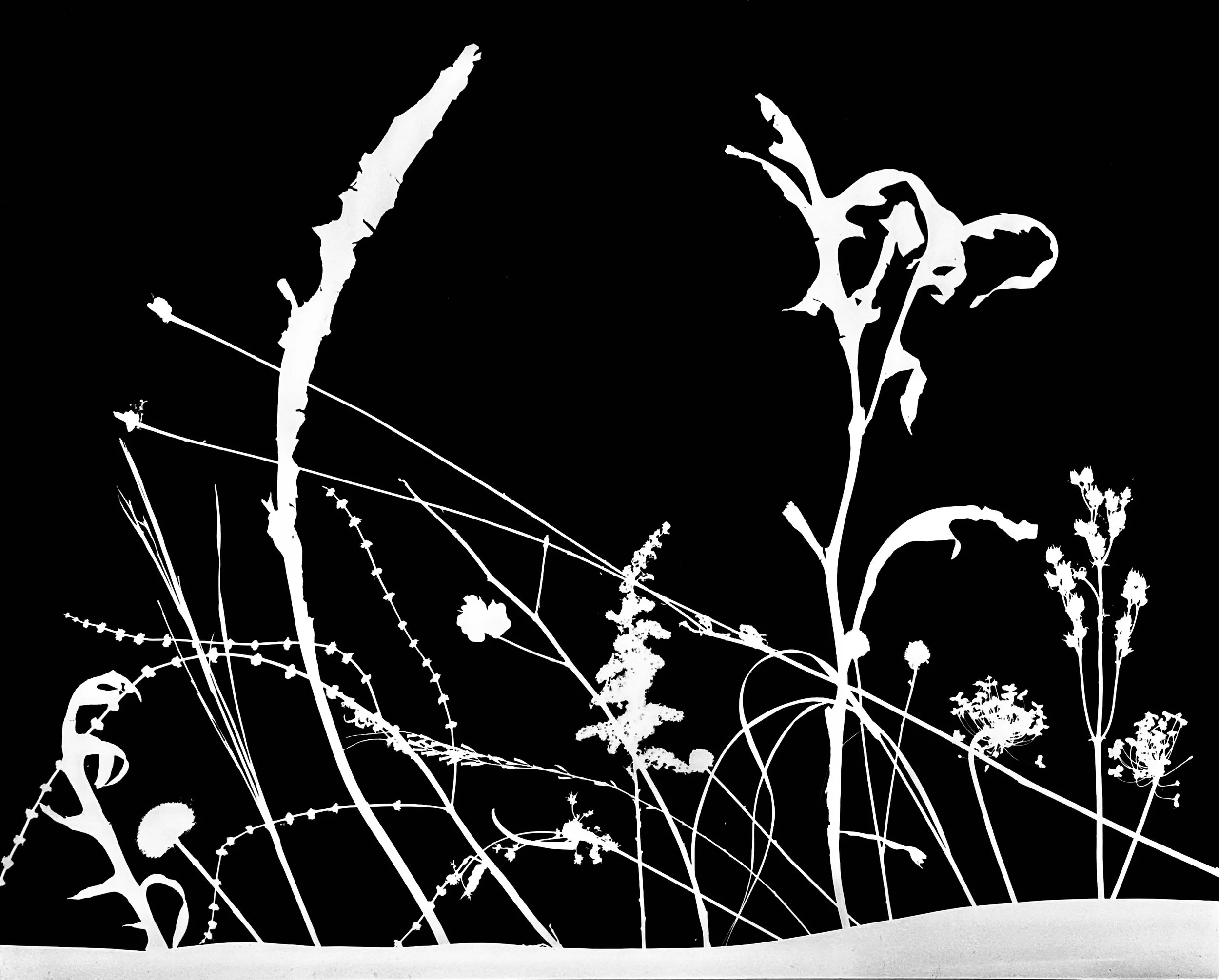 Prairie winter Scene 2A    11x14