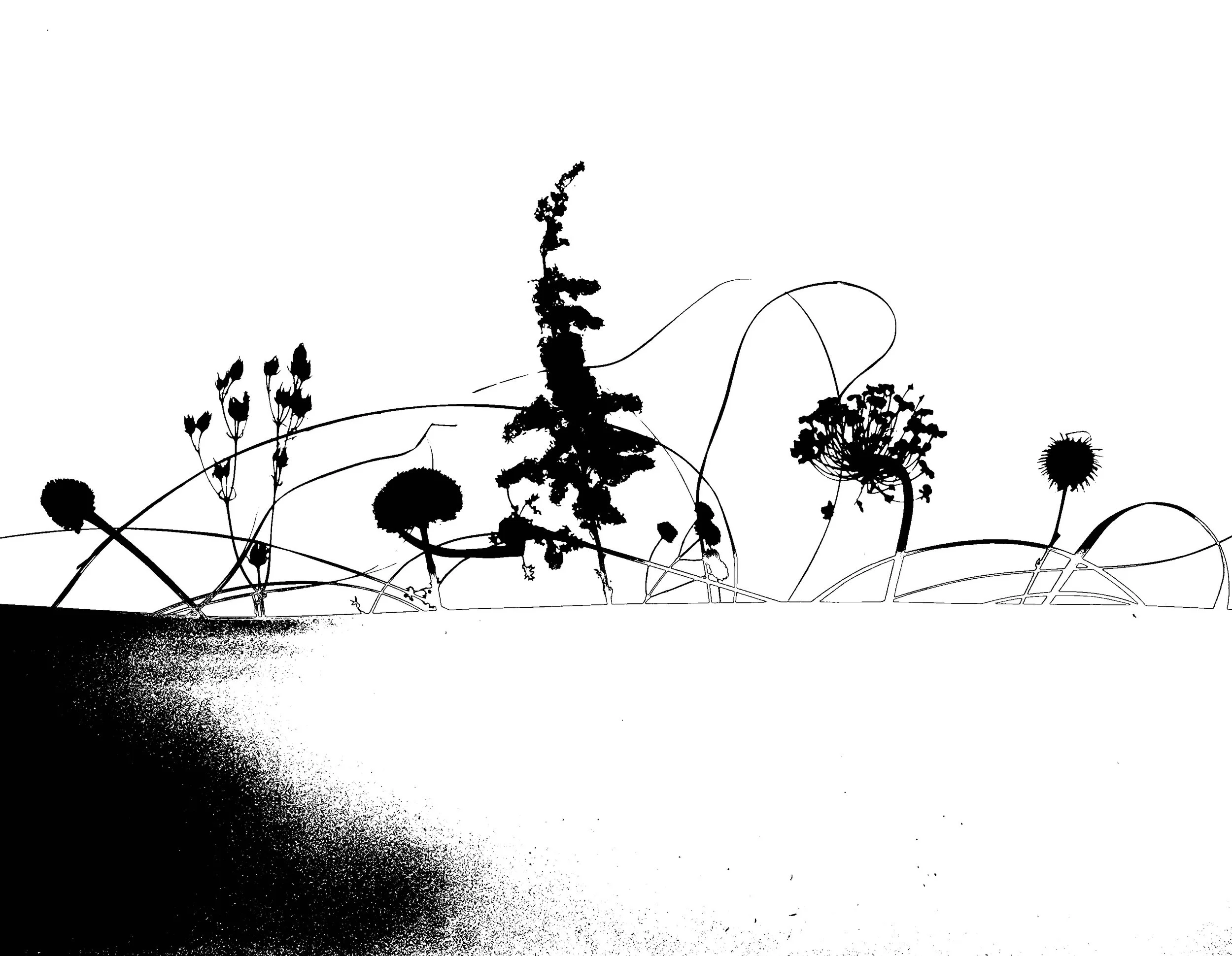 Prairie winter scene 6C.  11x14