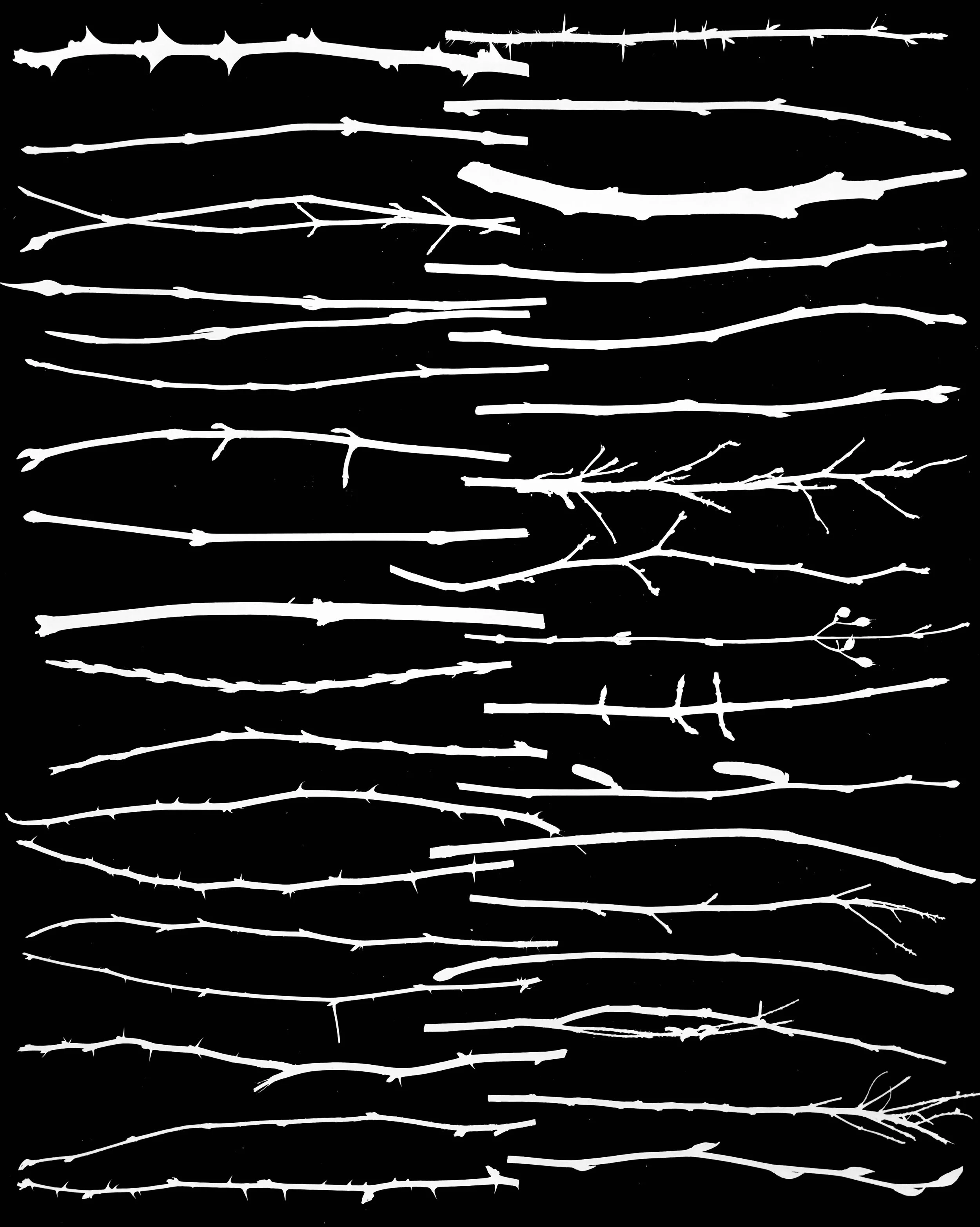 Dormant Native Shrub Twigs, NE Illinois
20x24    1 of 4.     Names later