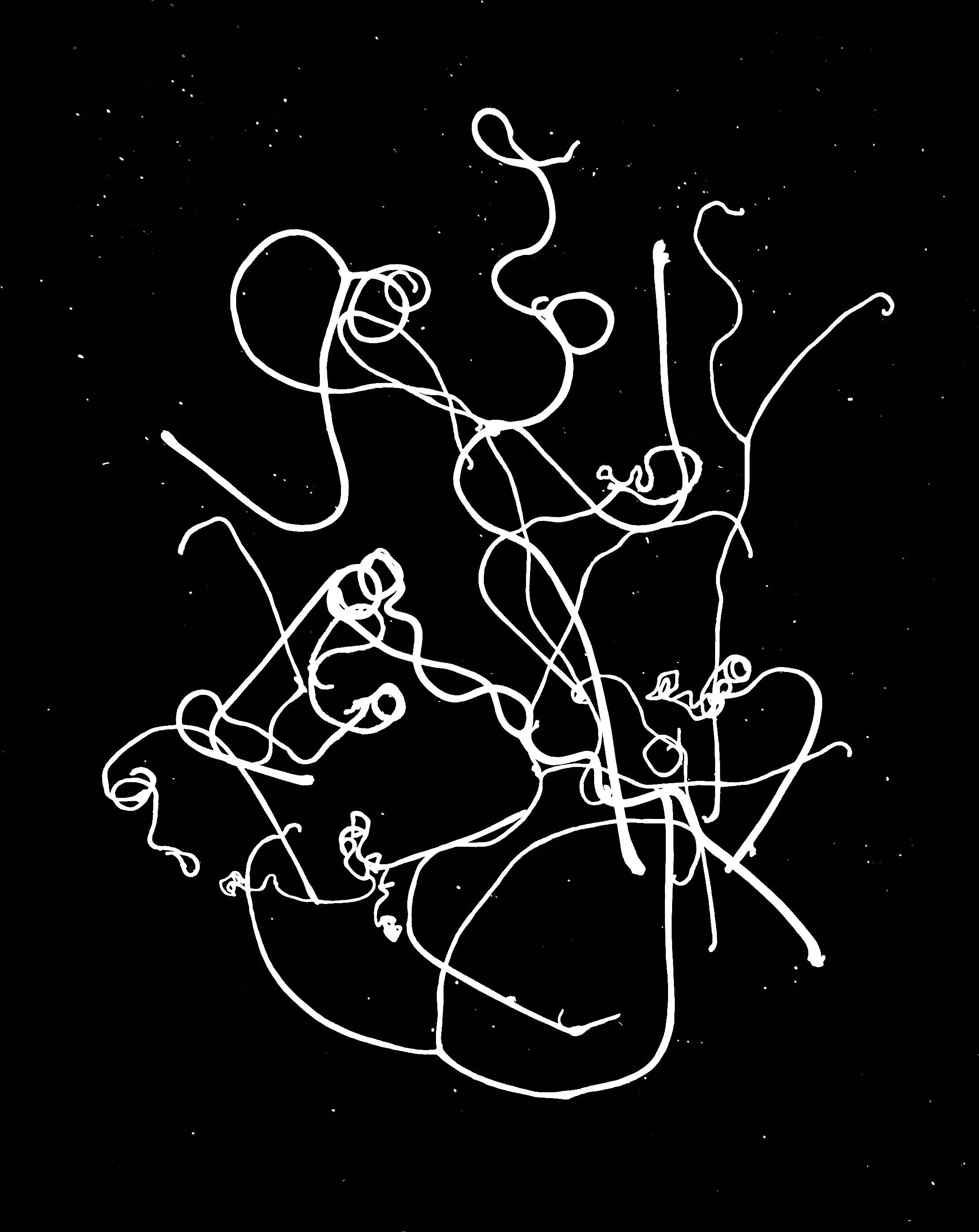 Grape tendrils
8x10.  1A