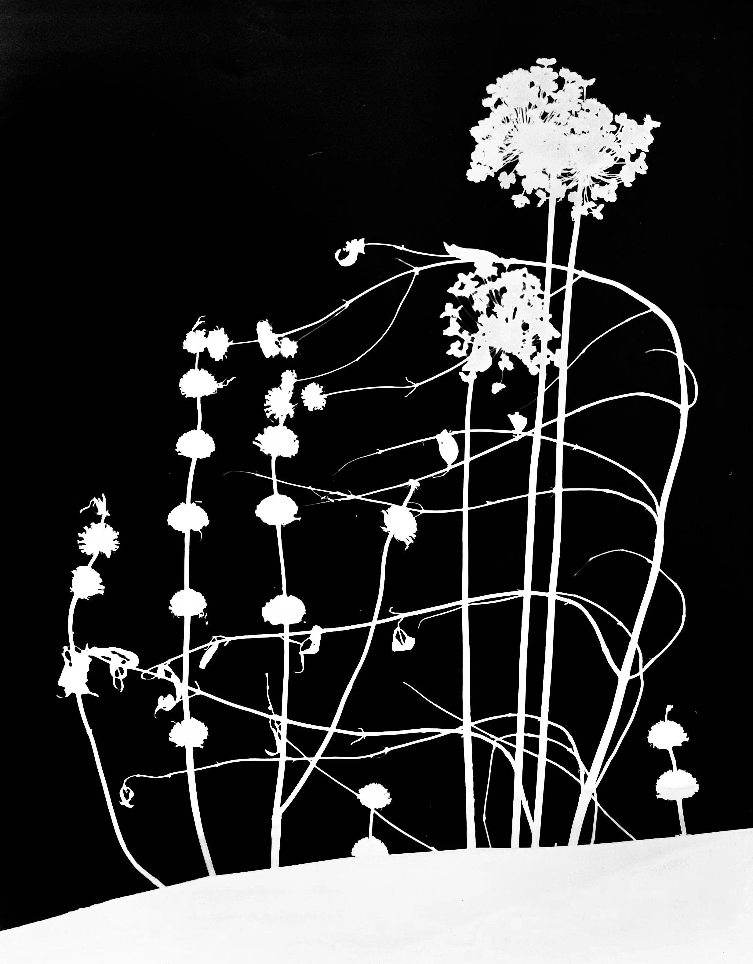 Prairie winter scene 5.  11x14