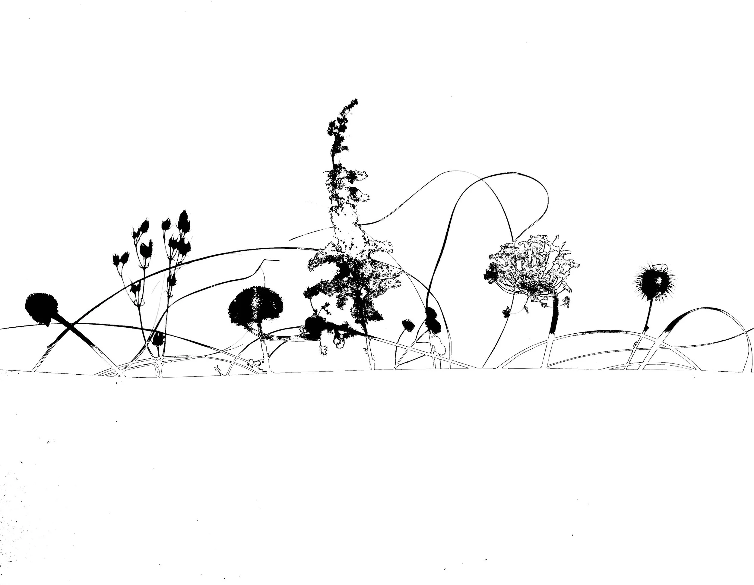 Prairie winter scene 6B.  11x14