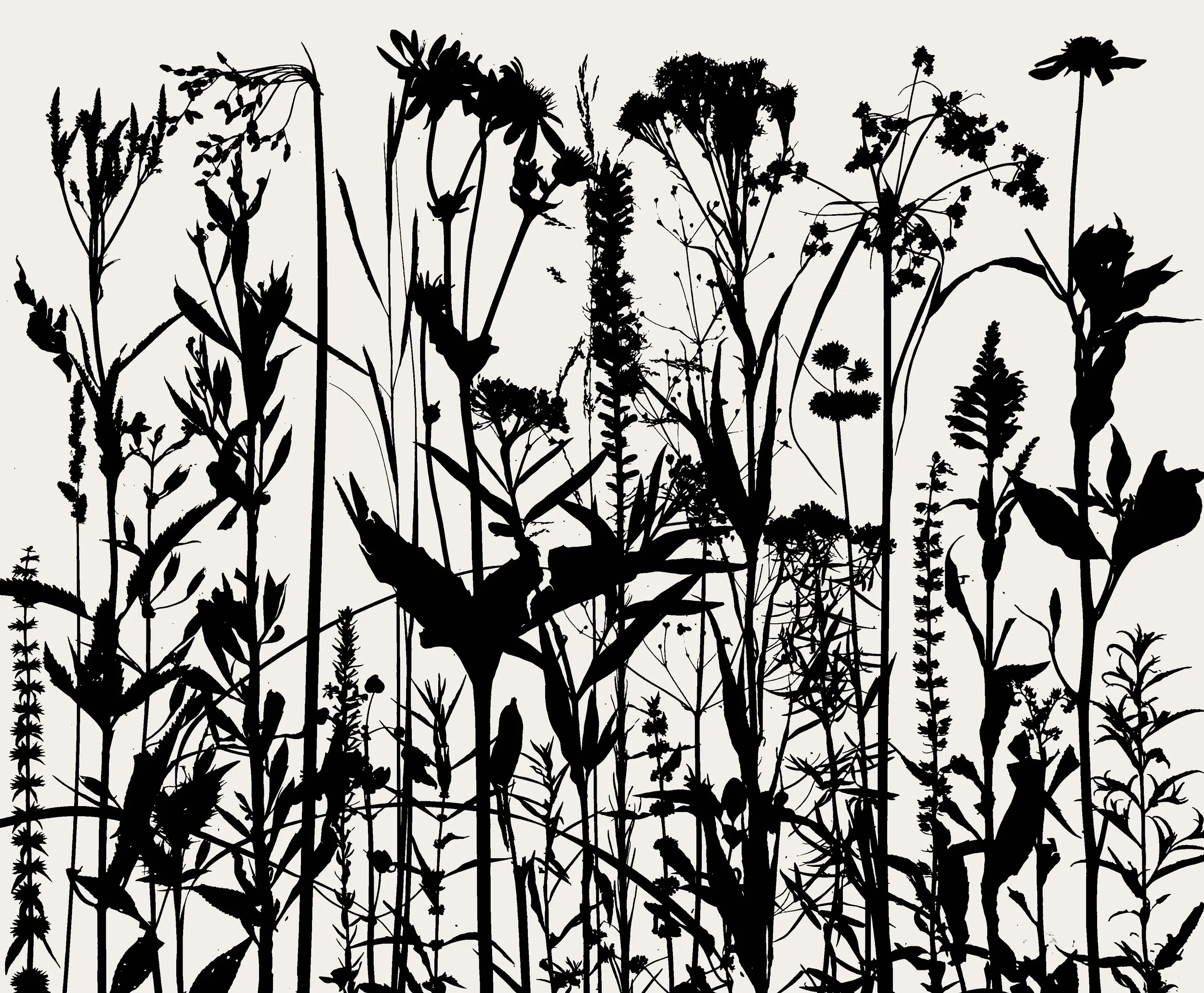 Wet Prairie Plants
20x24.  1B