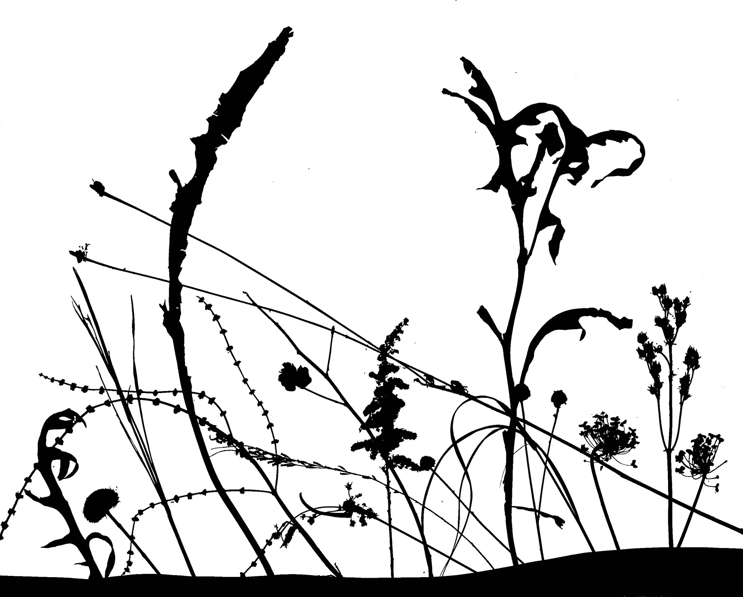 Prairie winter scene. 2B. 11x14