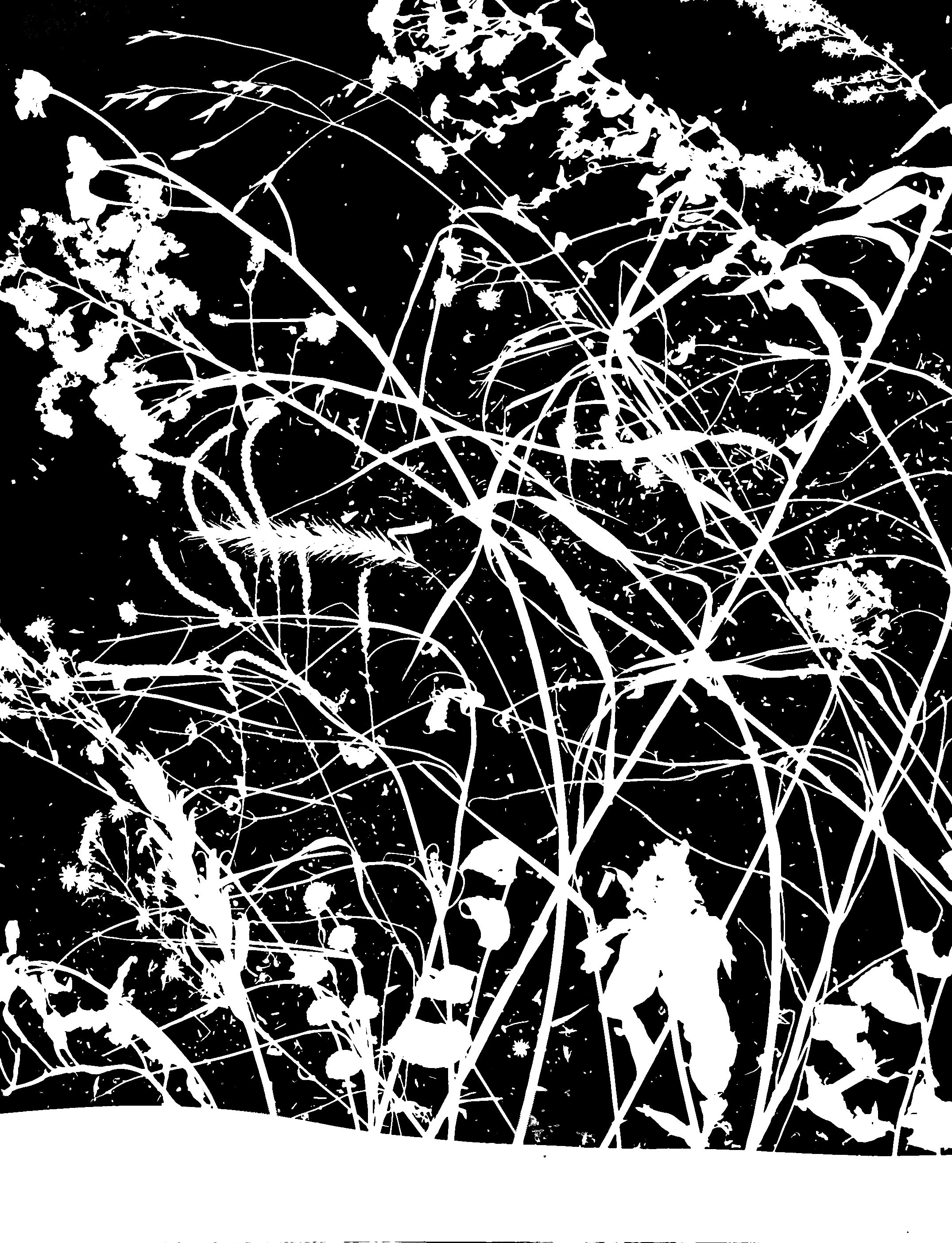 Winter Prairie Scene 4
16x20. 
