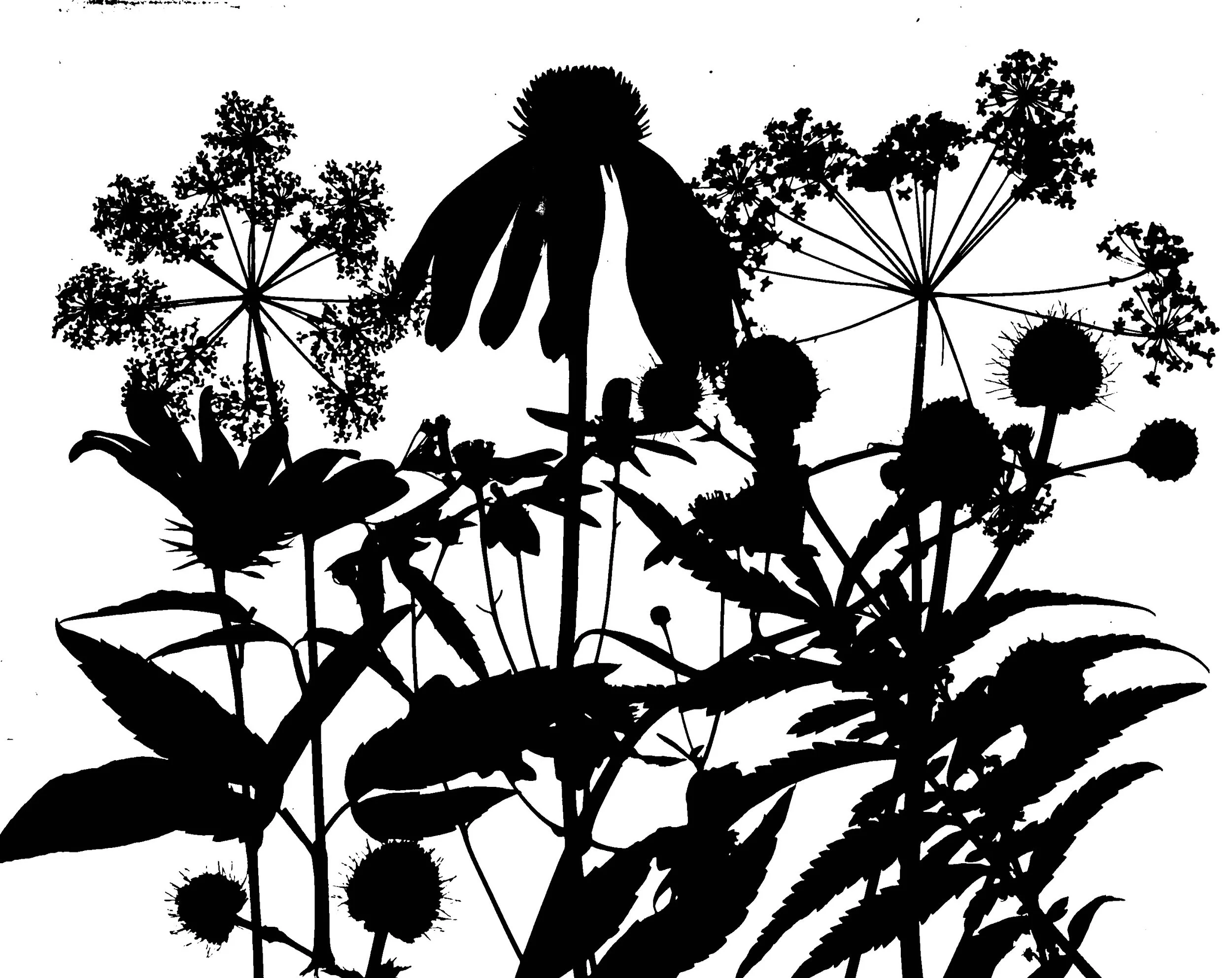 Mid summer prairie
8x10.  4B