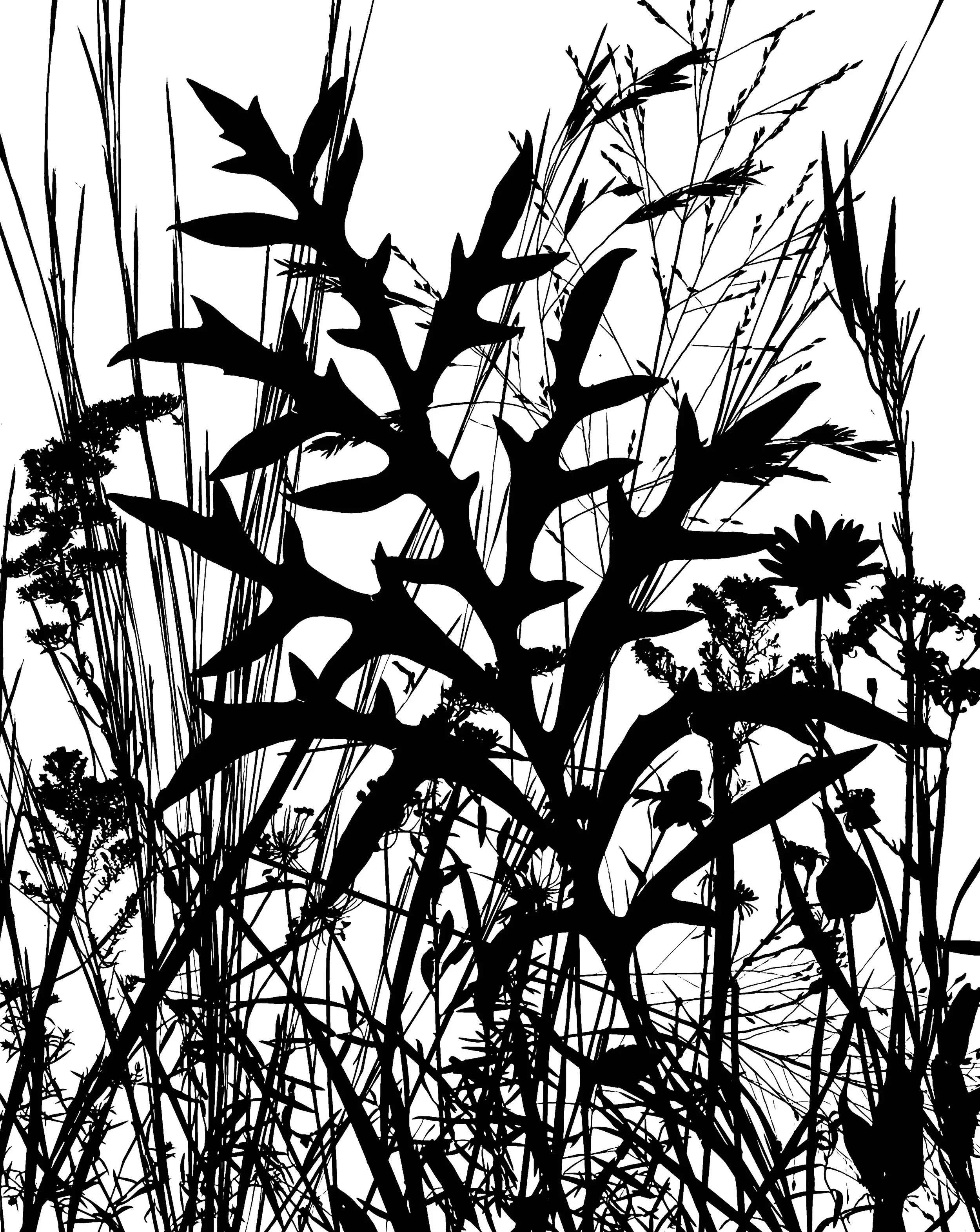 Fall Prairie 2
16x20.  1B