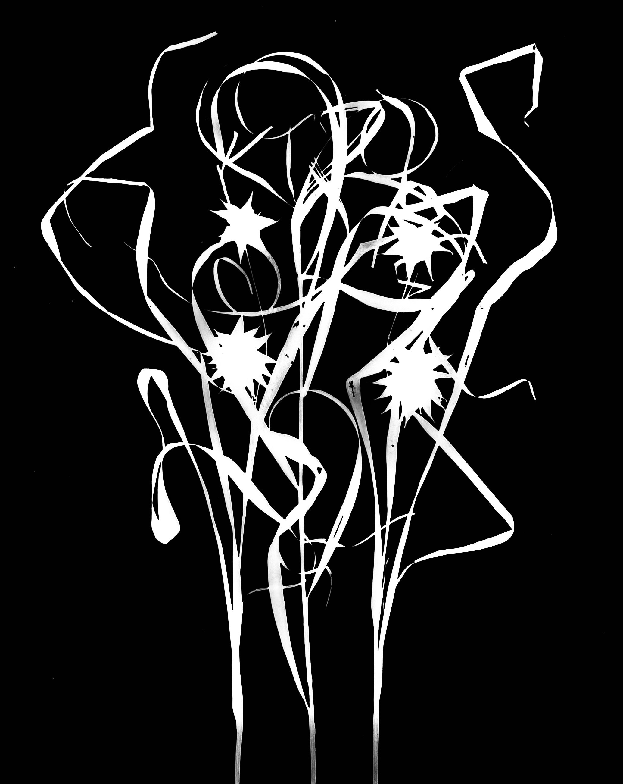 Common bur sedge
Carex gray.  8x10