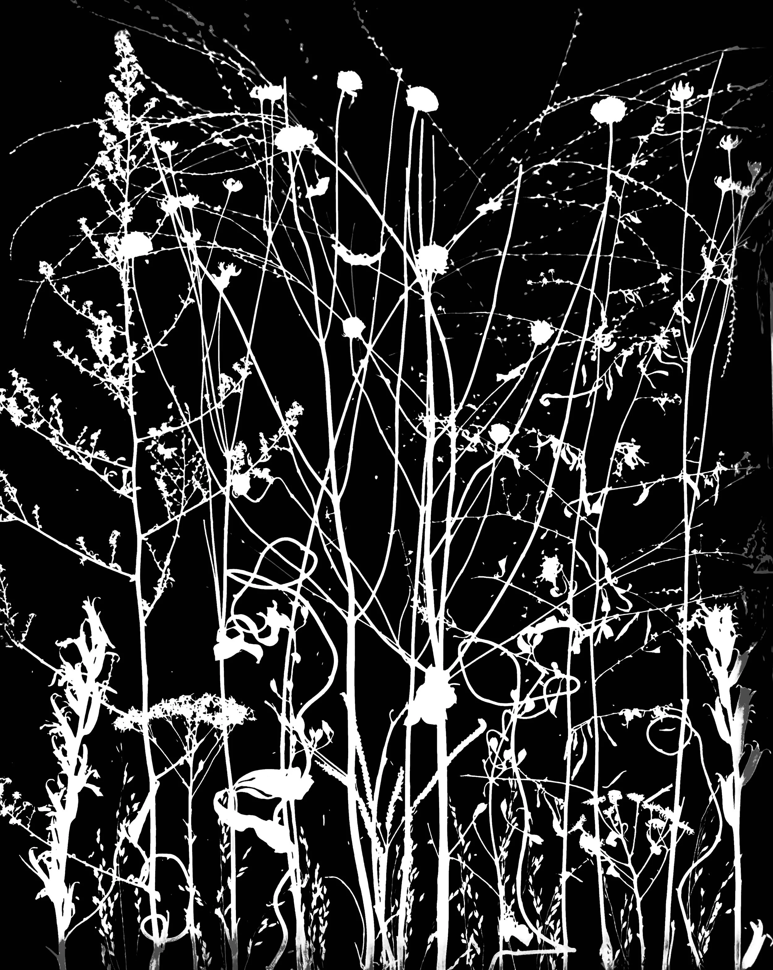 Dormant Prairie Plants
20x24. 1A