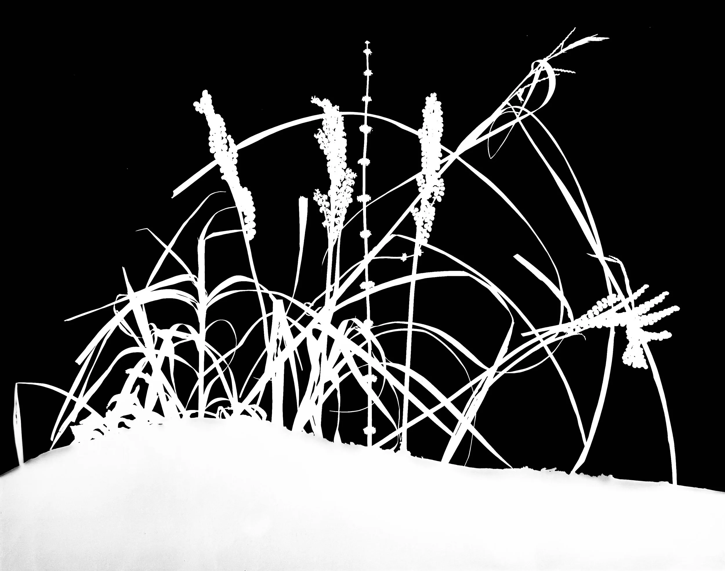 Prairie winter scene 3A. 11x14