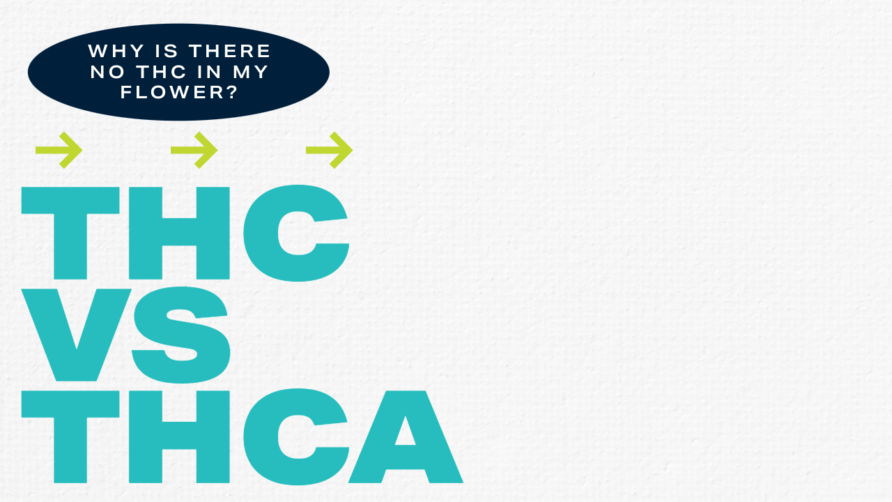 THcA vs THc