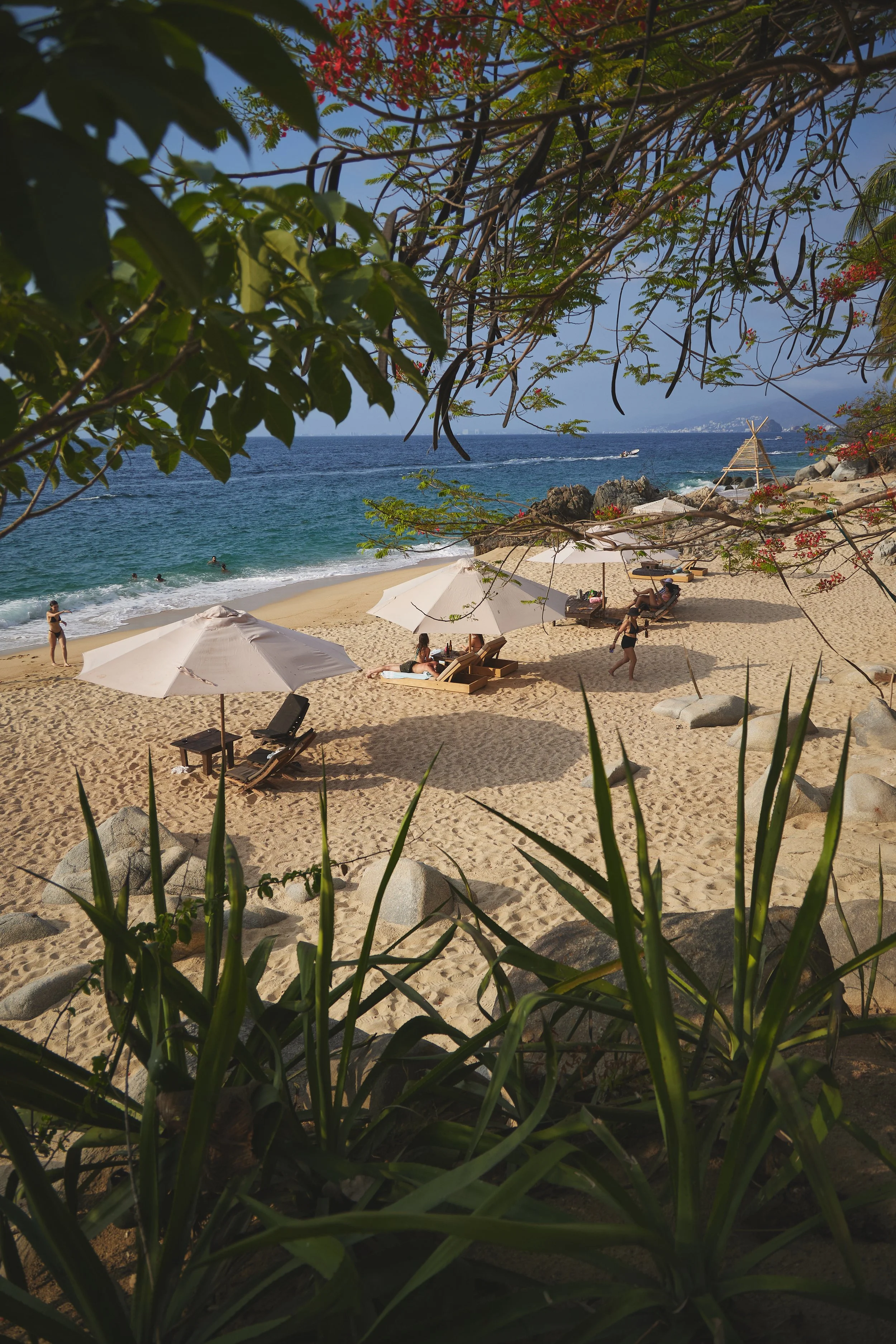 Elevating Corporate Wellness: How Casitas Maraika Redefines Health-Focused Retreats