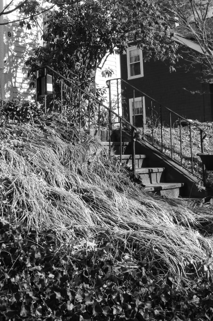 29f56e_f3f2d3b71d314af3823cc2dc5a6d8b3a~mv2 copy.png