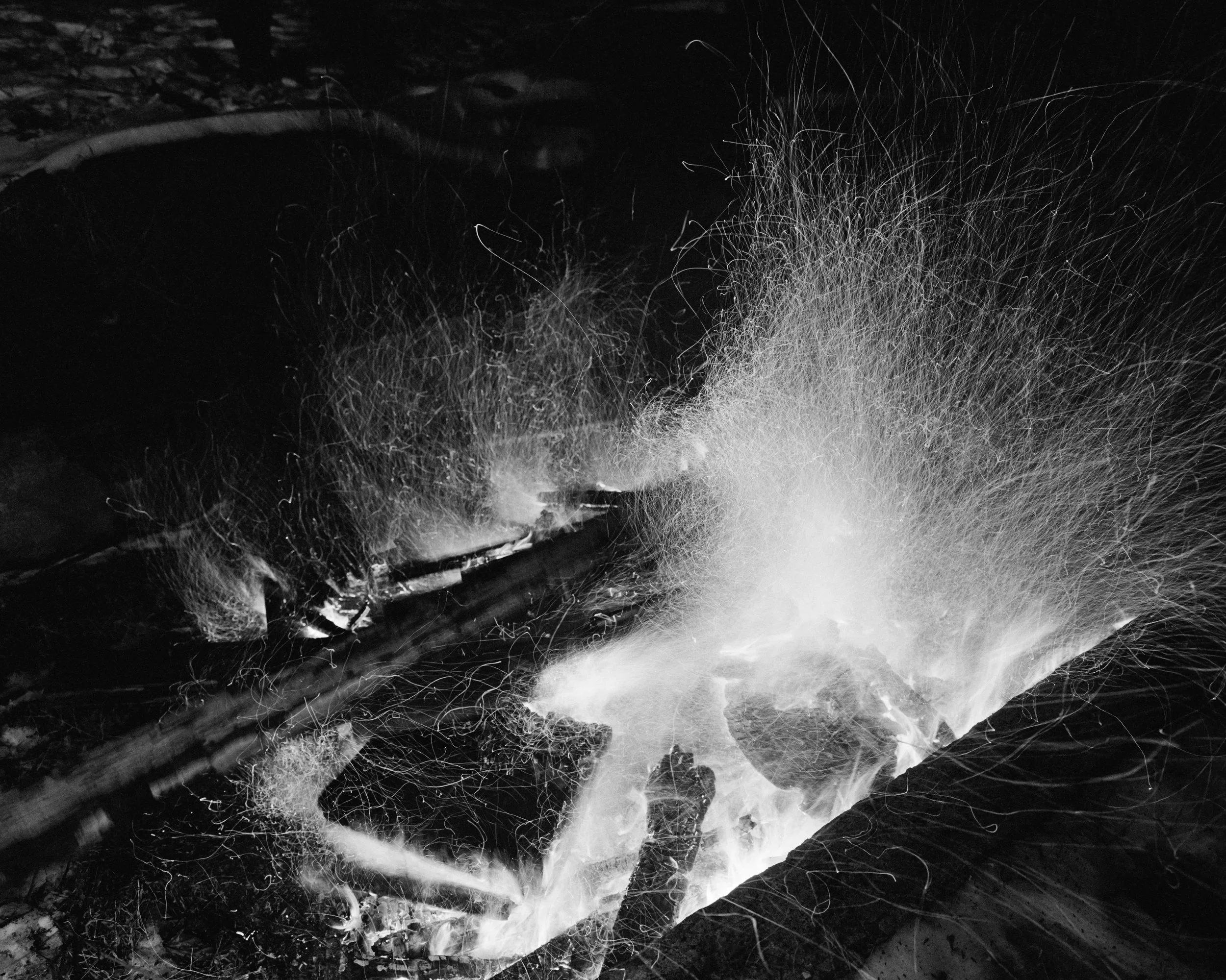 Black and white image of a fire with a long being thrown into it.
