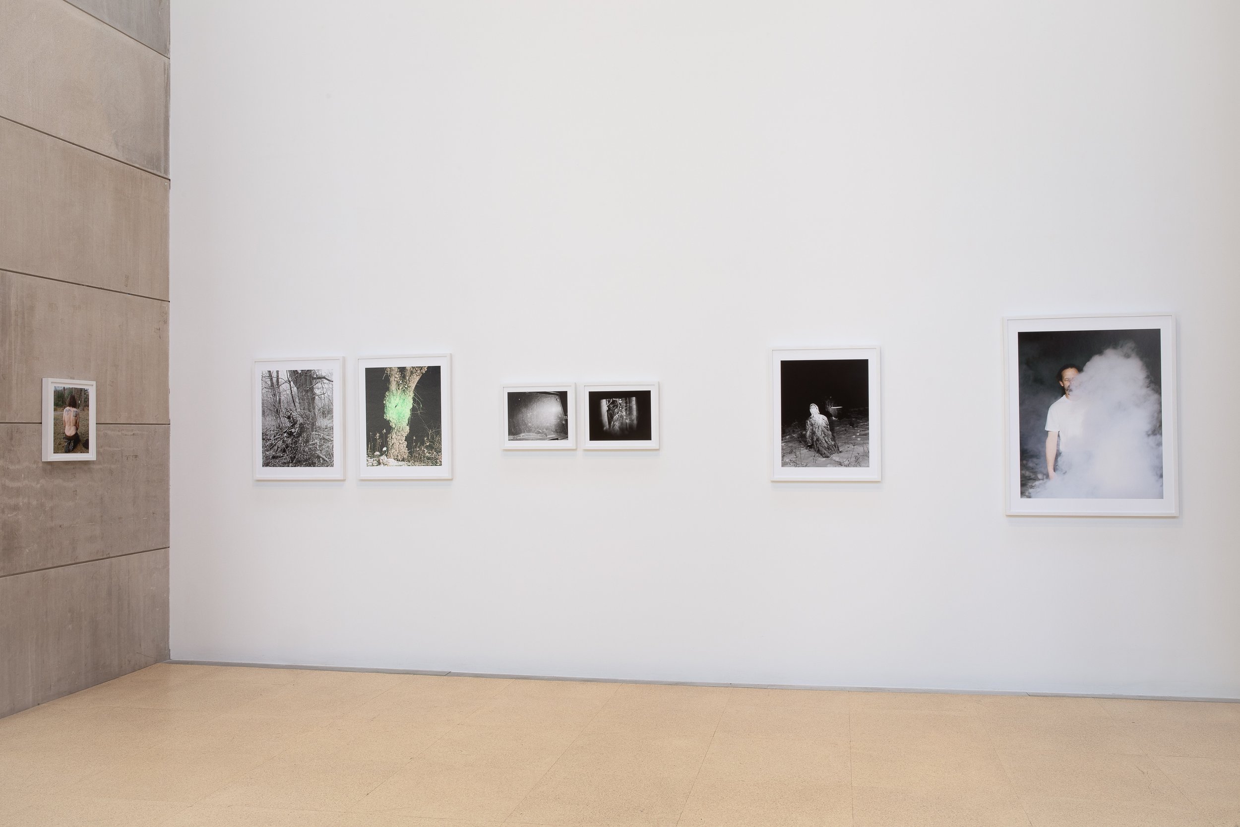 Exhibition image of the final 7 images of Two Way Dream