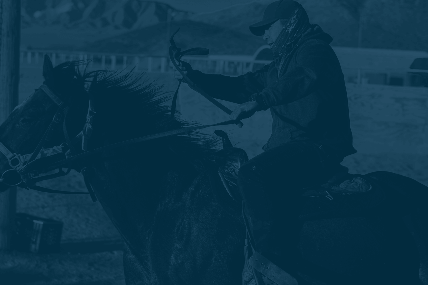 Our Program — The River's Edge Ranch