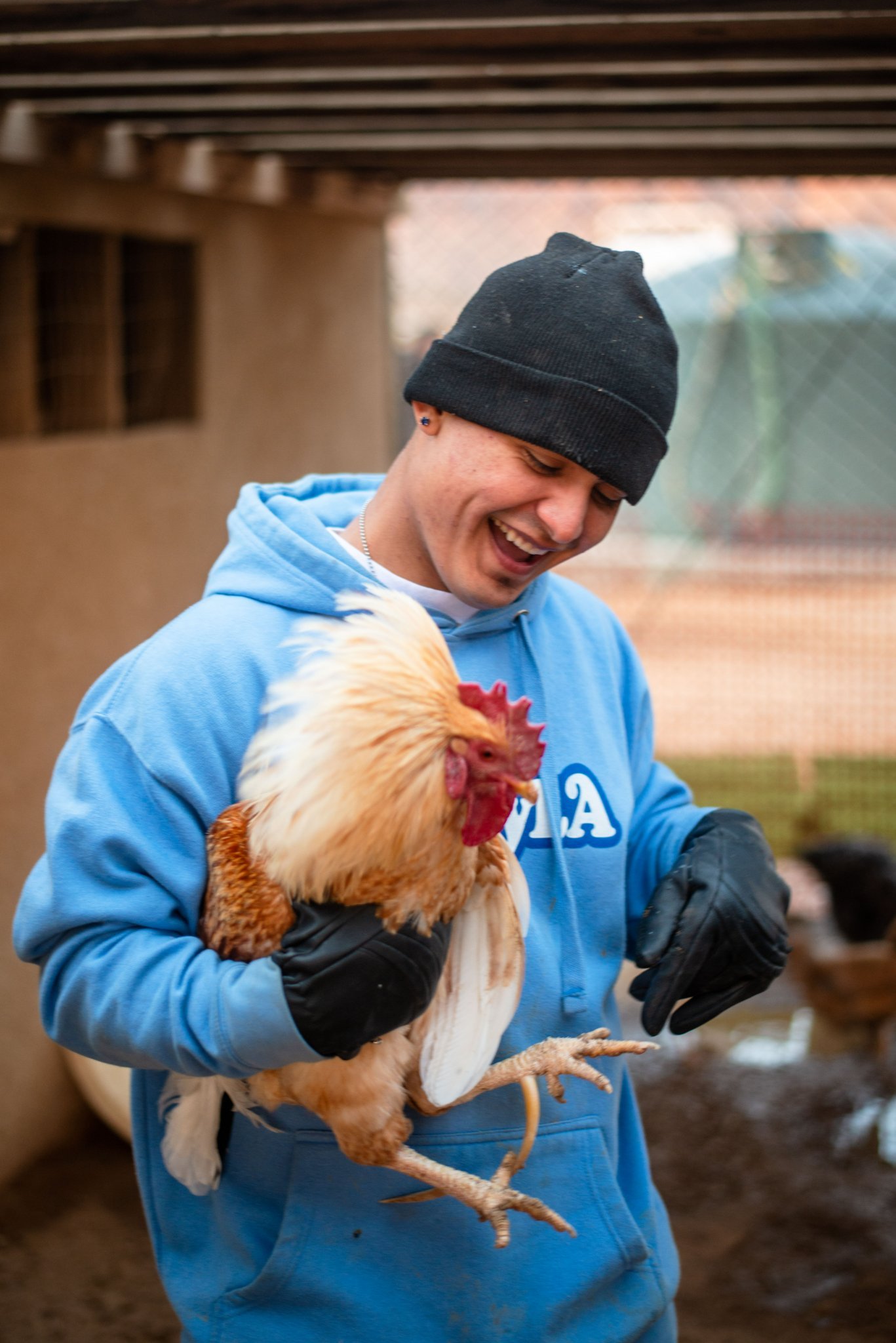 Our Program — The River's Edge Ranch