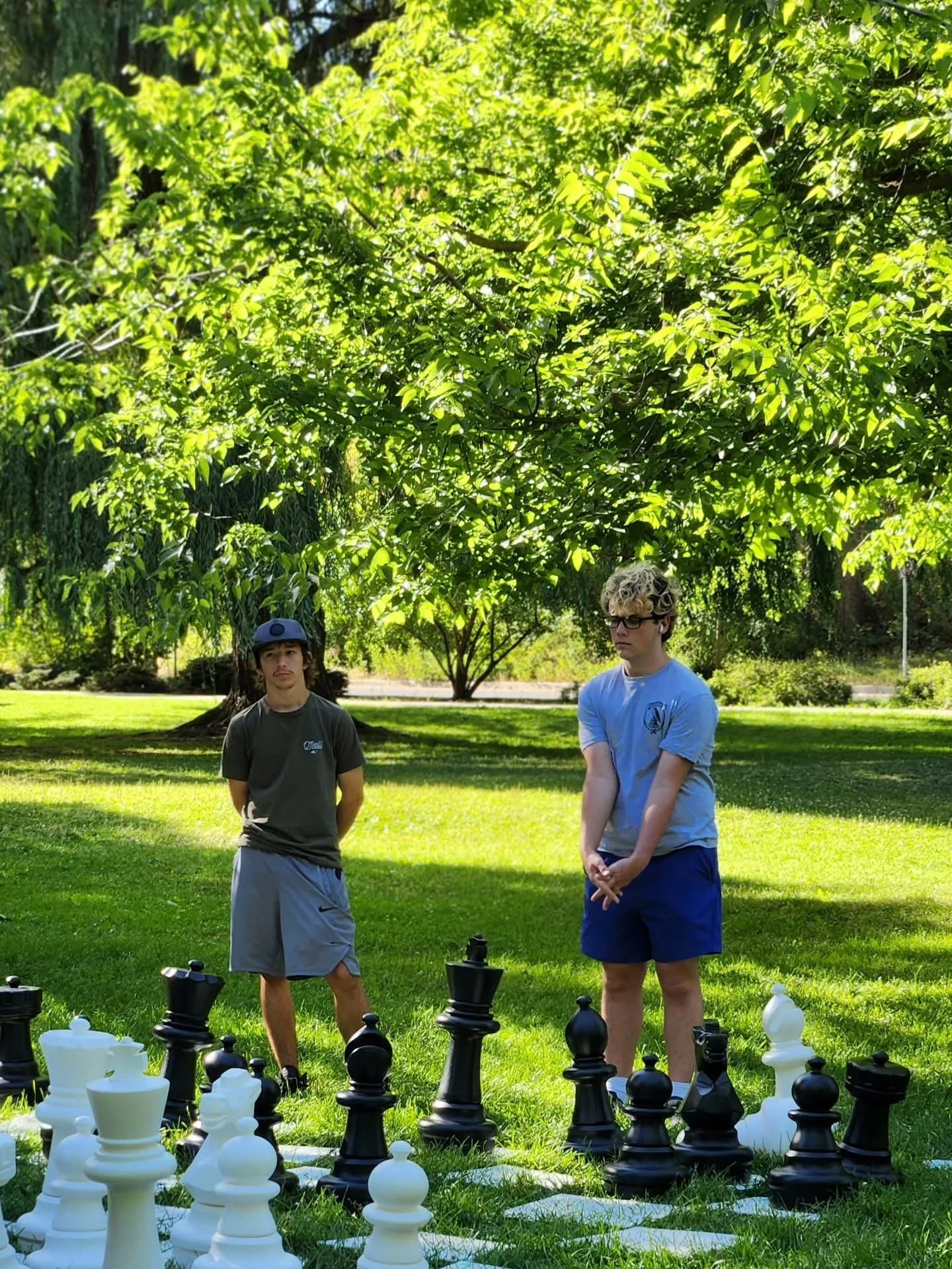 Social Chess at Manito Park