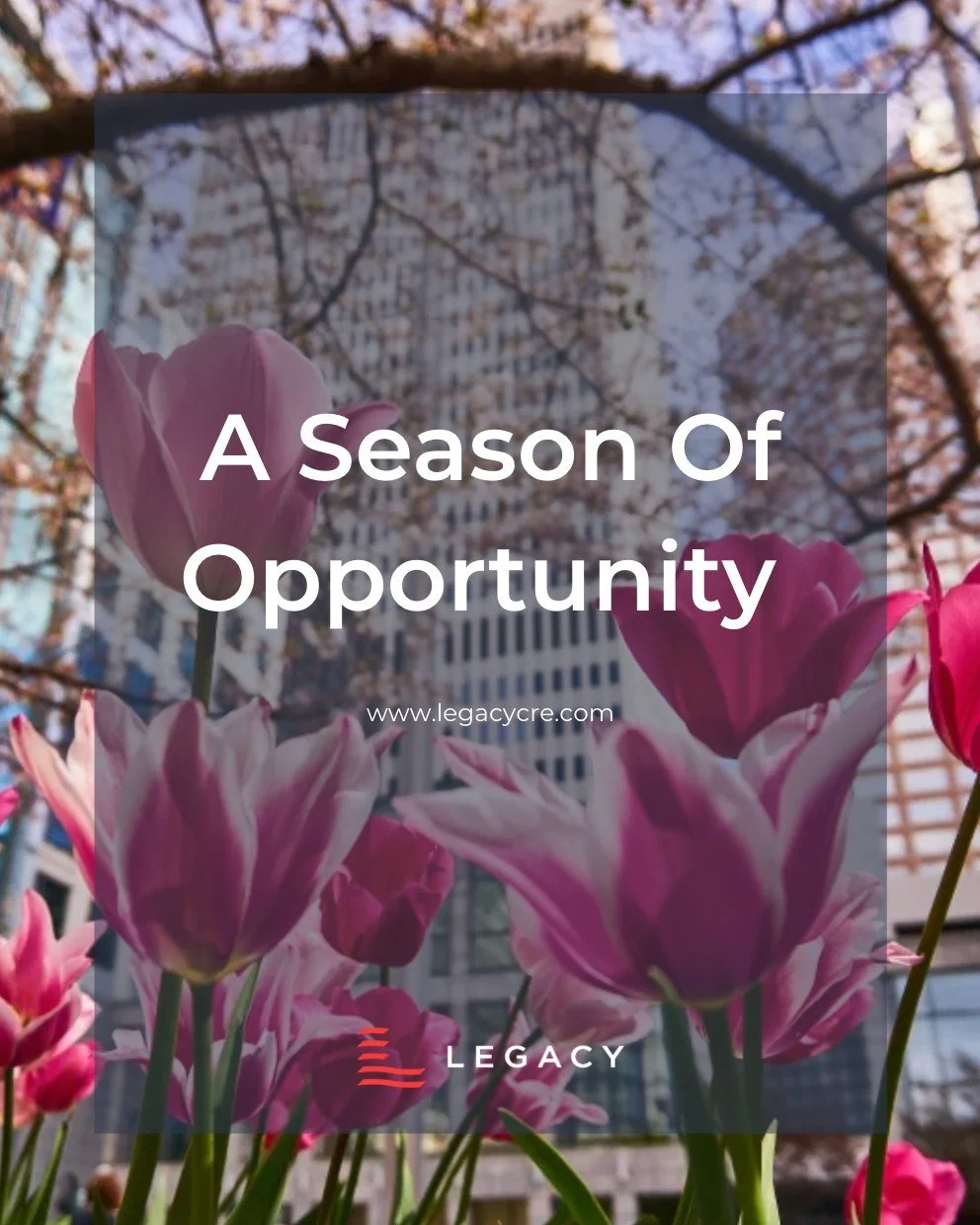 With longer days and more sunlight ahead, spring in Charlotte starts to come alive.

Here&rsquo;s to more after-work patio hangouts on East Blvd, more walks along the Rail Trail in South End, evenings at Knights games in Uptown, and weekends spent at