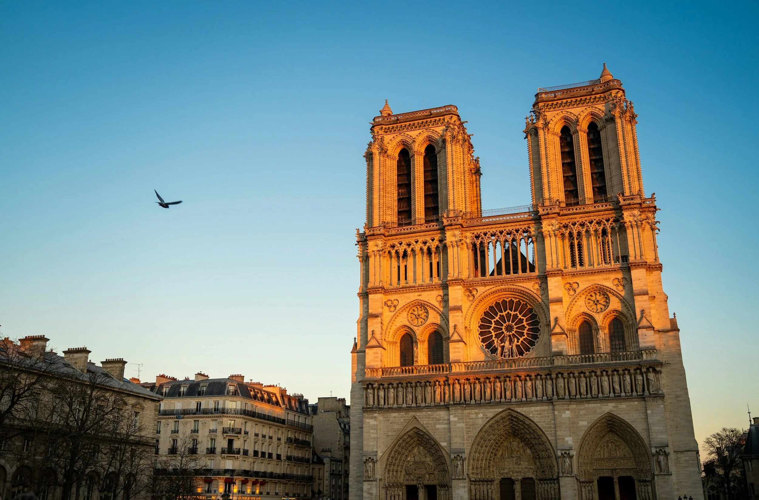 Notre-Dame, Paris, France