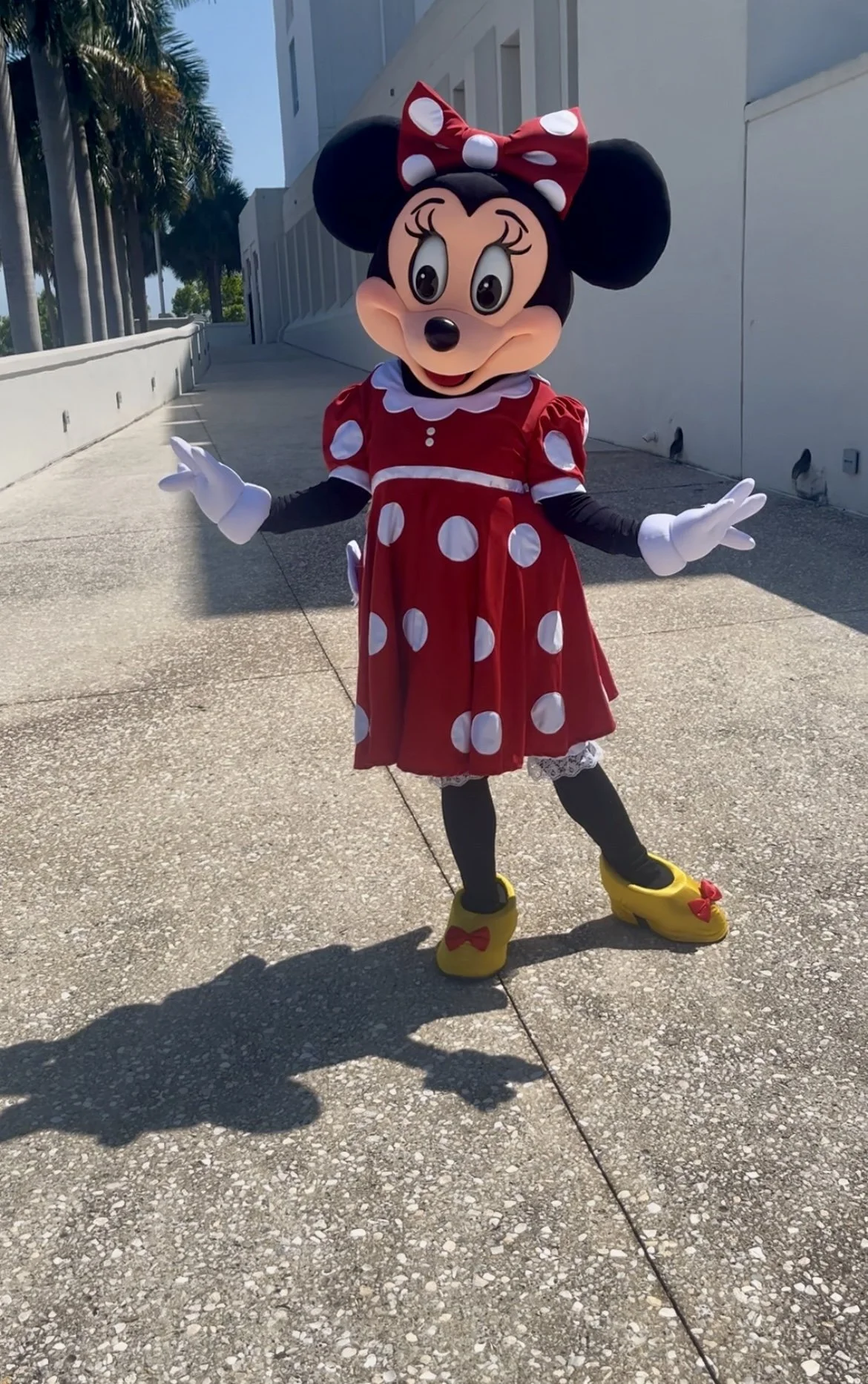 IMG_0143.jpeg