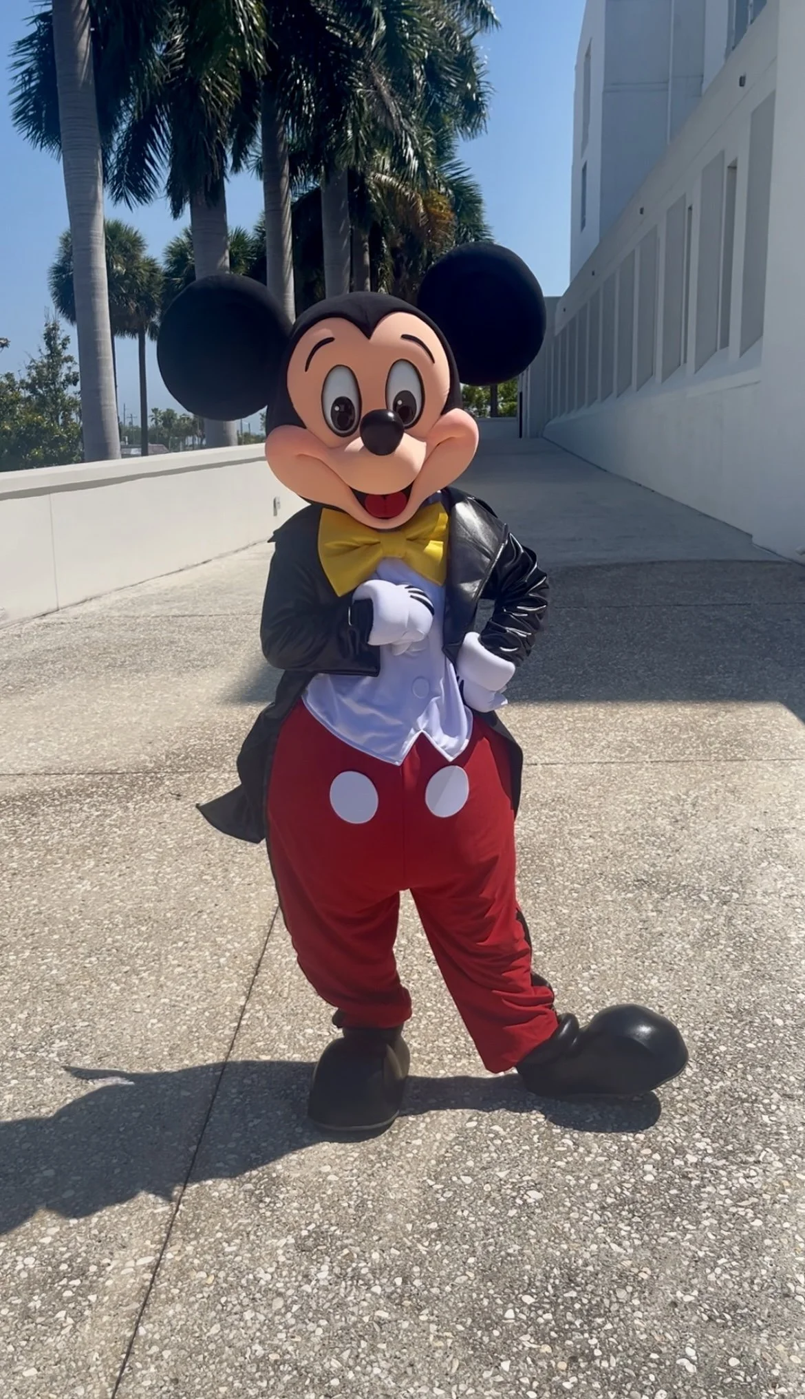 IMG_0142.jpeg