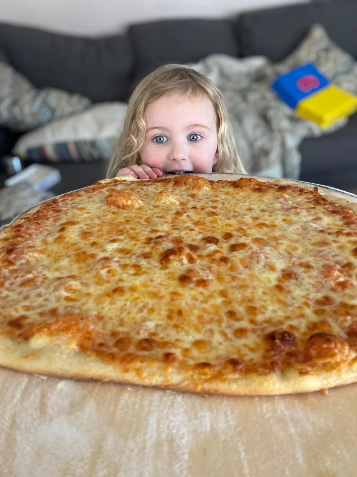 WhatsApp Image 2024-10-31 at 8.54.42 AM (20).jpeg