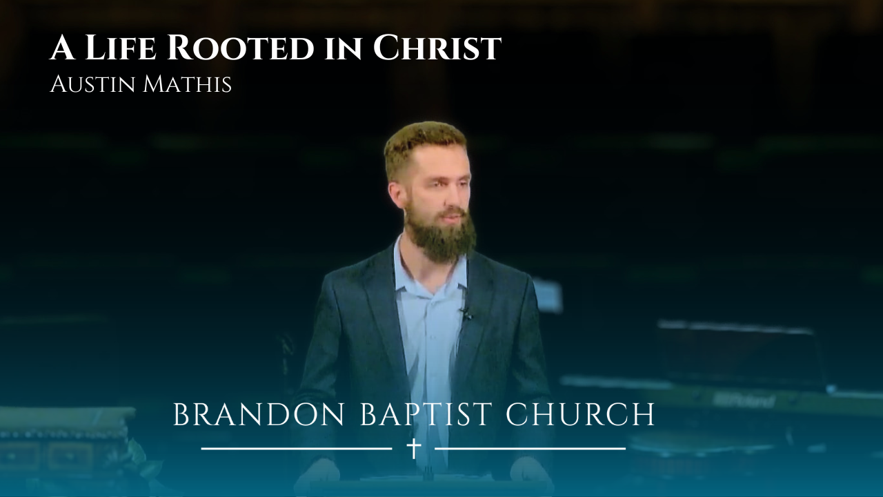 A Life Rooted in Christ