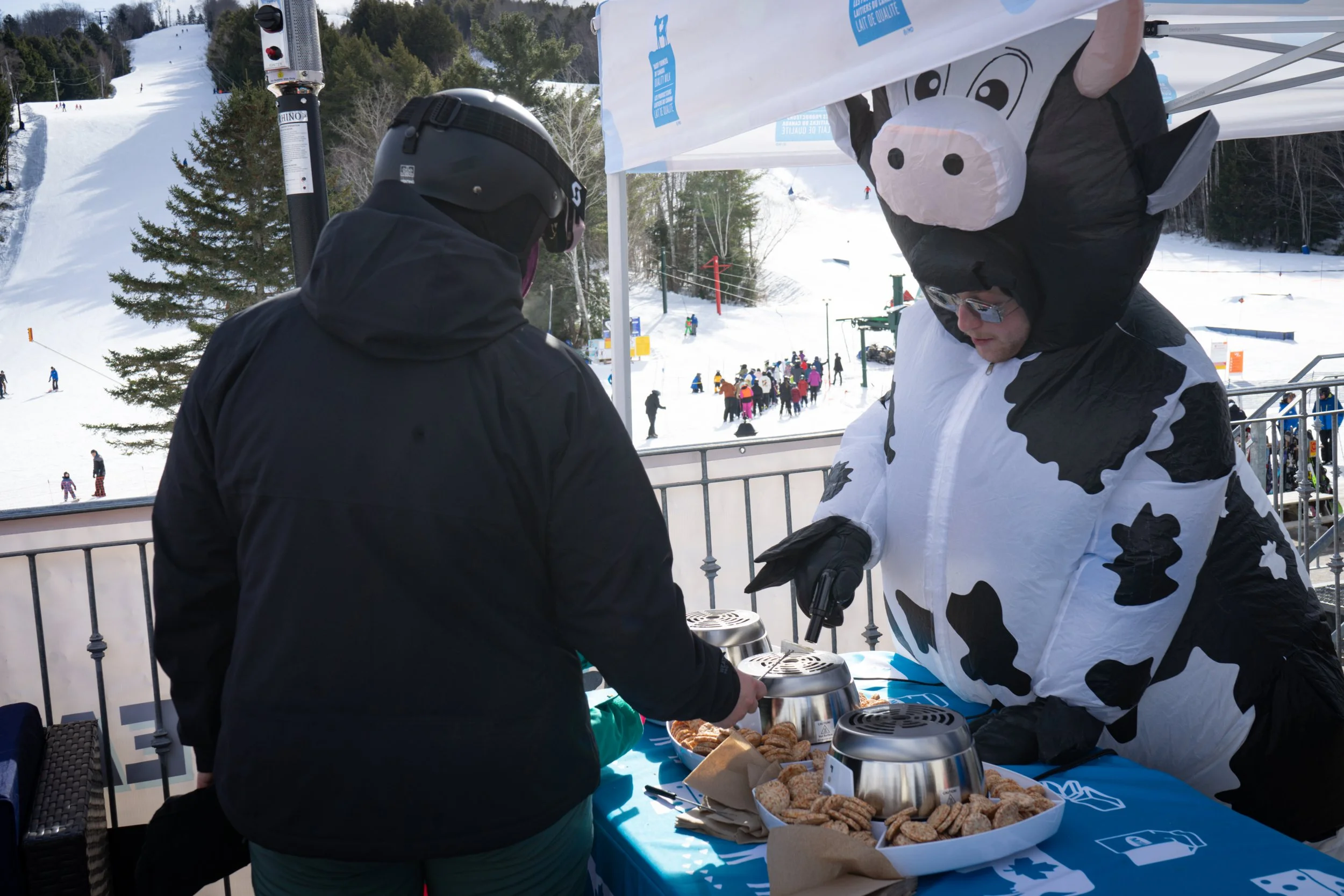 Dairy Farmers of Canada X Martock 2025