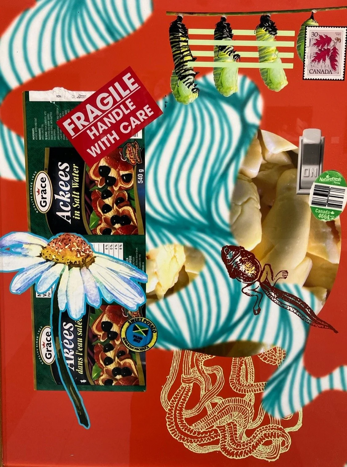 Jasmine Vanstone, Persephone's Panganat-Coolie, digital collage copy.jpg