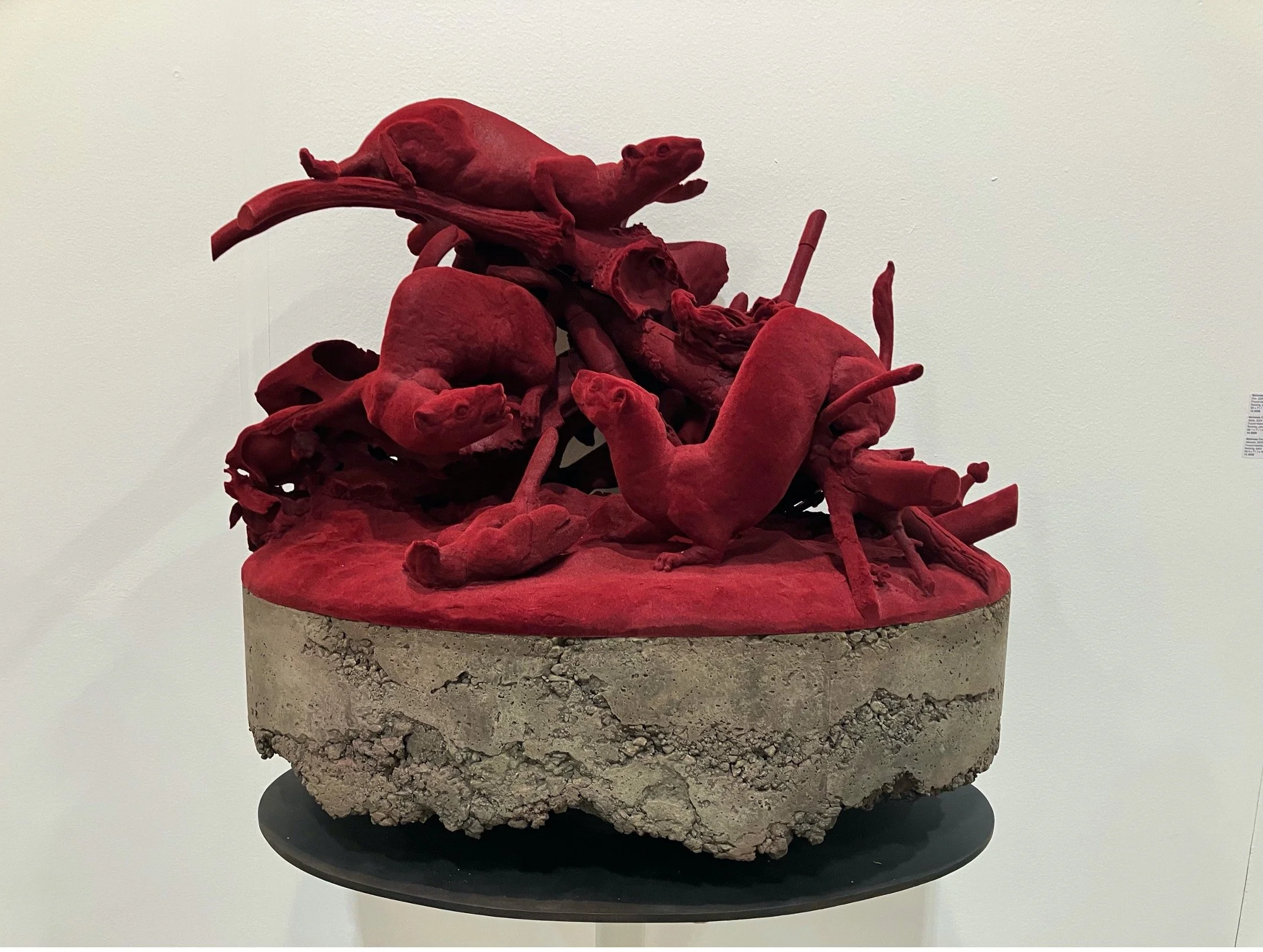 Nicholas Crombach_Weisels.jpg