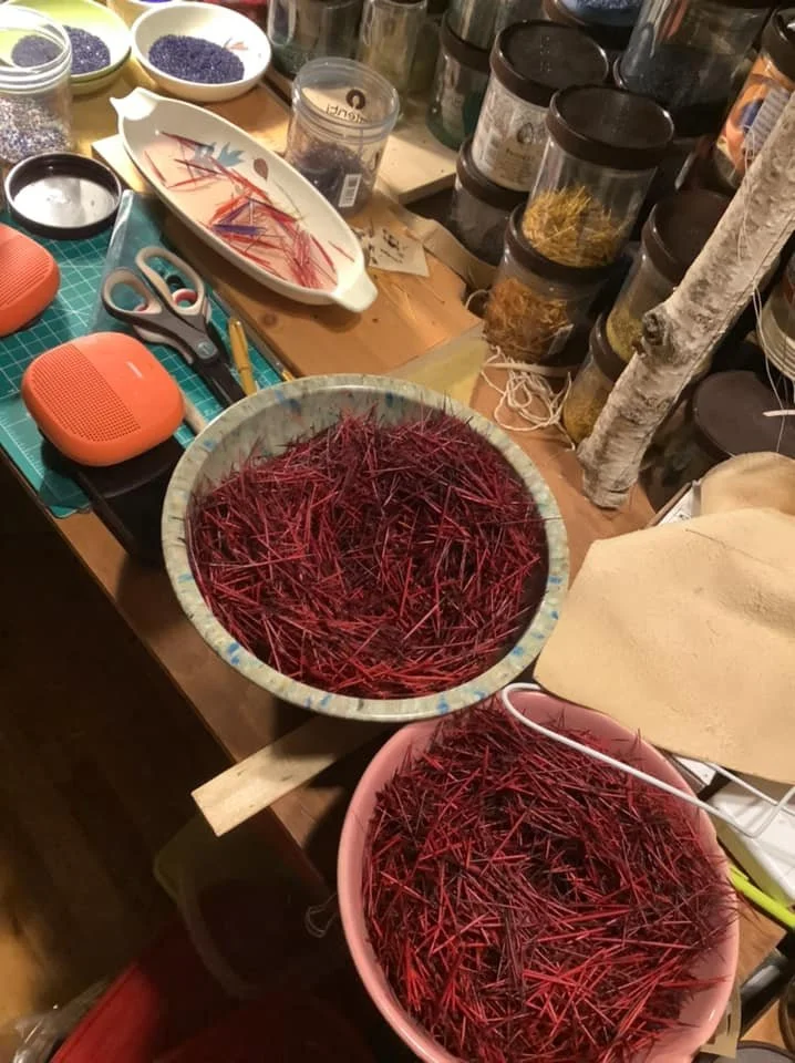 quills.jpg