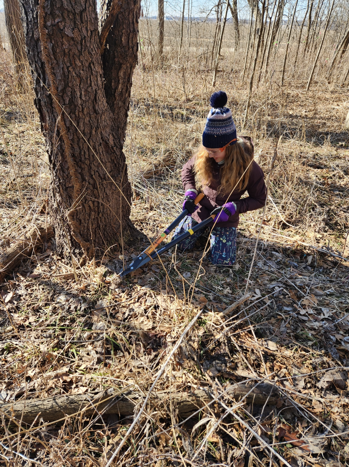 Screenshot 2026-02-11 at 12.45.06 PM.png