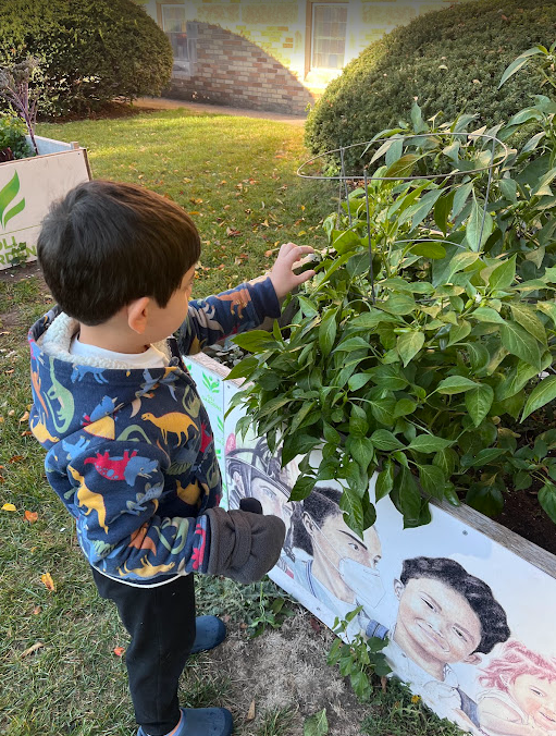 Screenshot 2025-10-30 2.43.10 PM.png