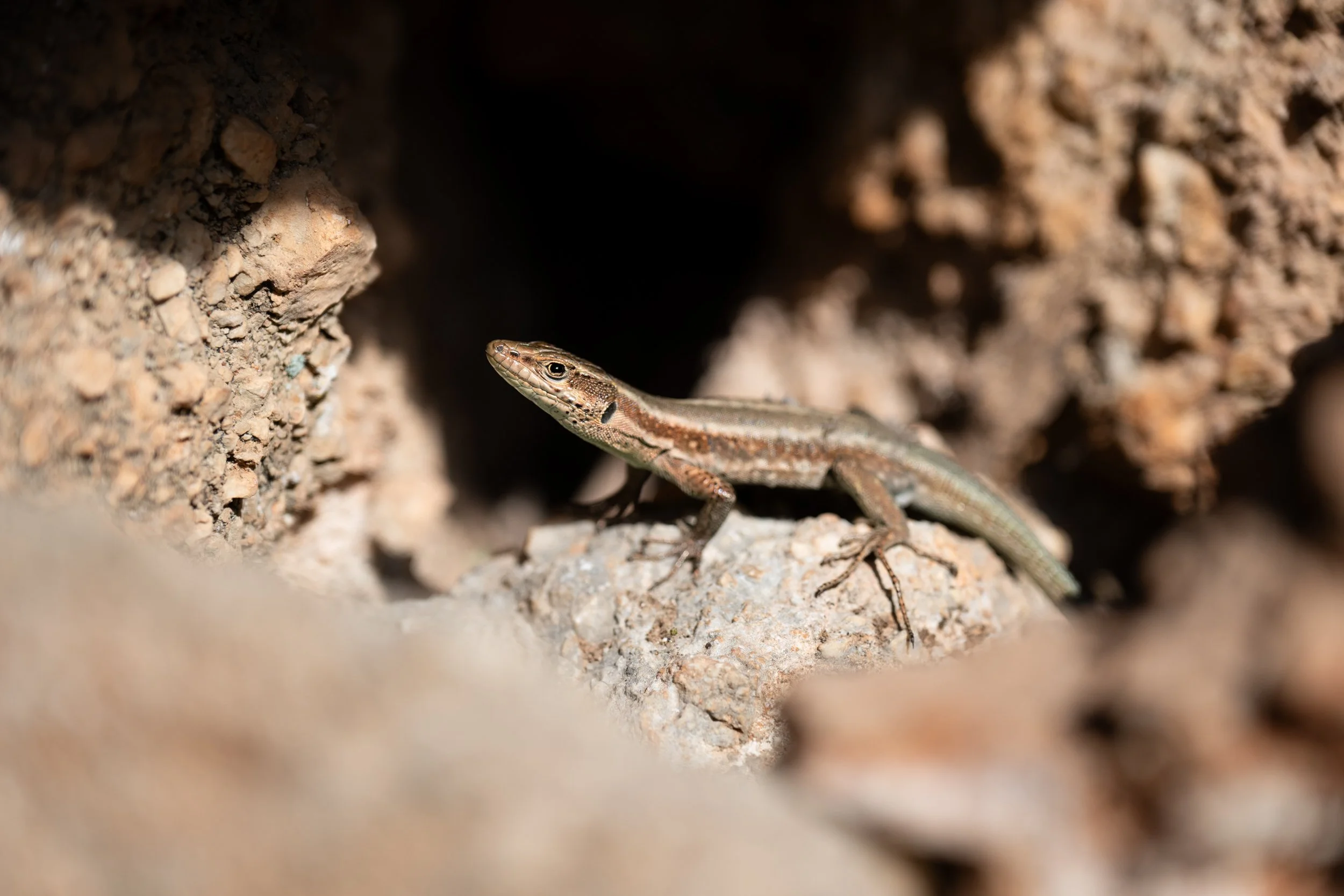 Climbing, Turkey 2025 (7 of 14).jpg