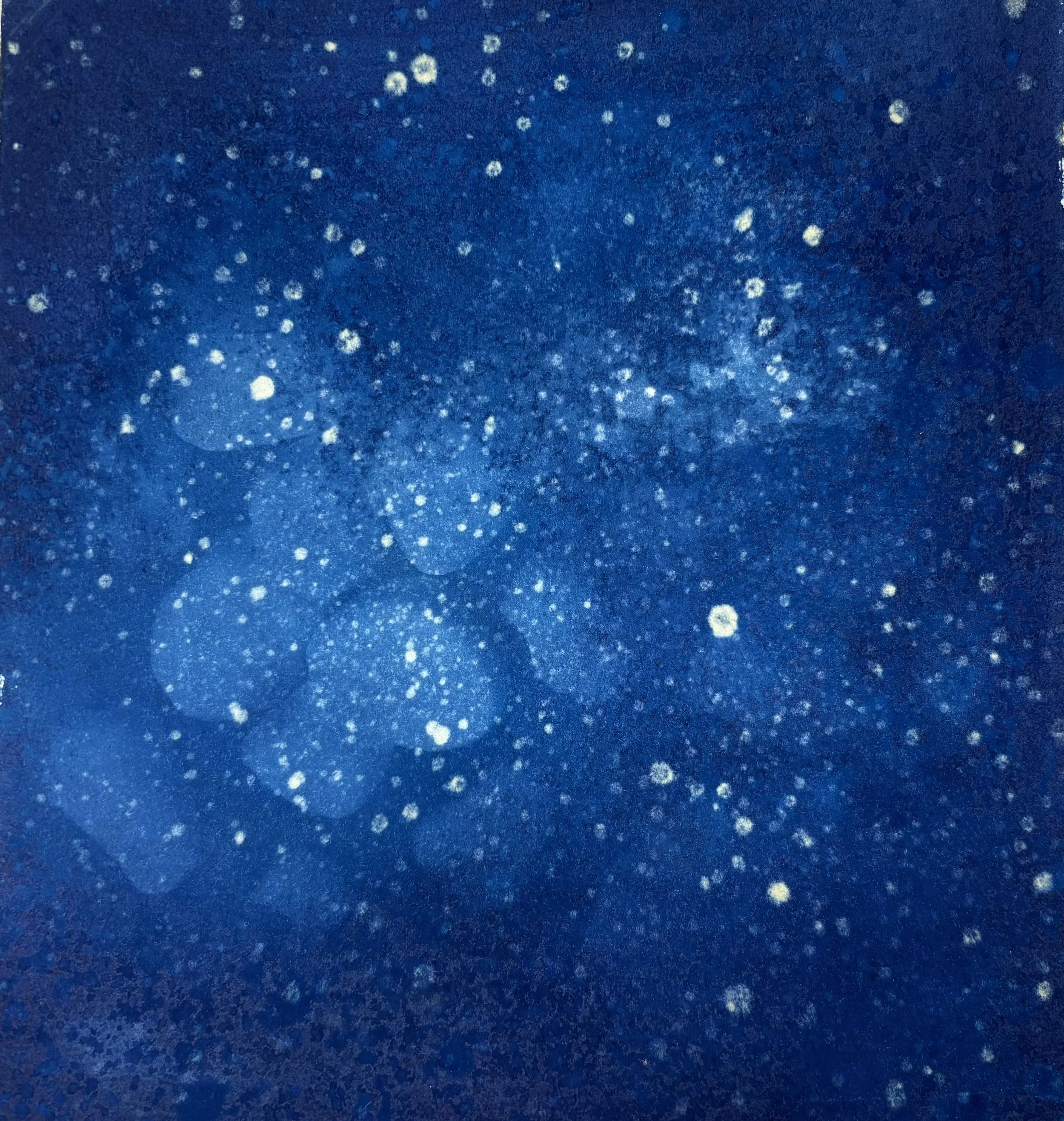 “Night Aura,” 2024; Cyanotype on paper; 11⅝”H x 10 ⅝”W.
I altered a cyanotype during sun exposure by splattering hydrogen peroxide on the paper. I then laid rocks on the center of the paper, which resulted in lighter blue spots. Lastly, after the exp