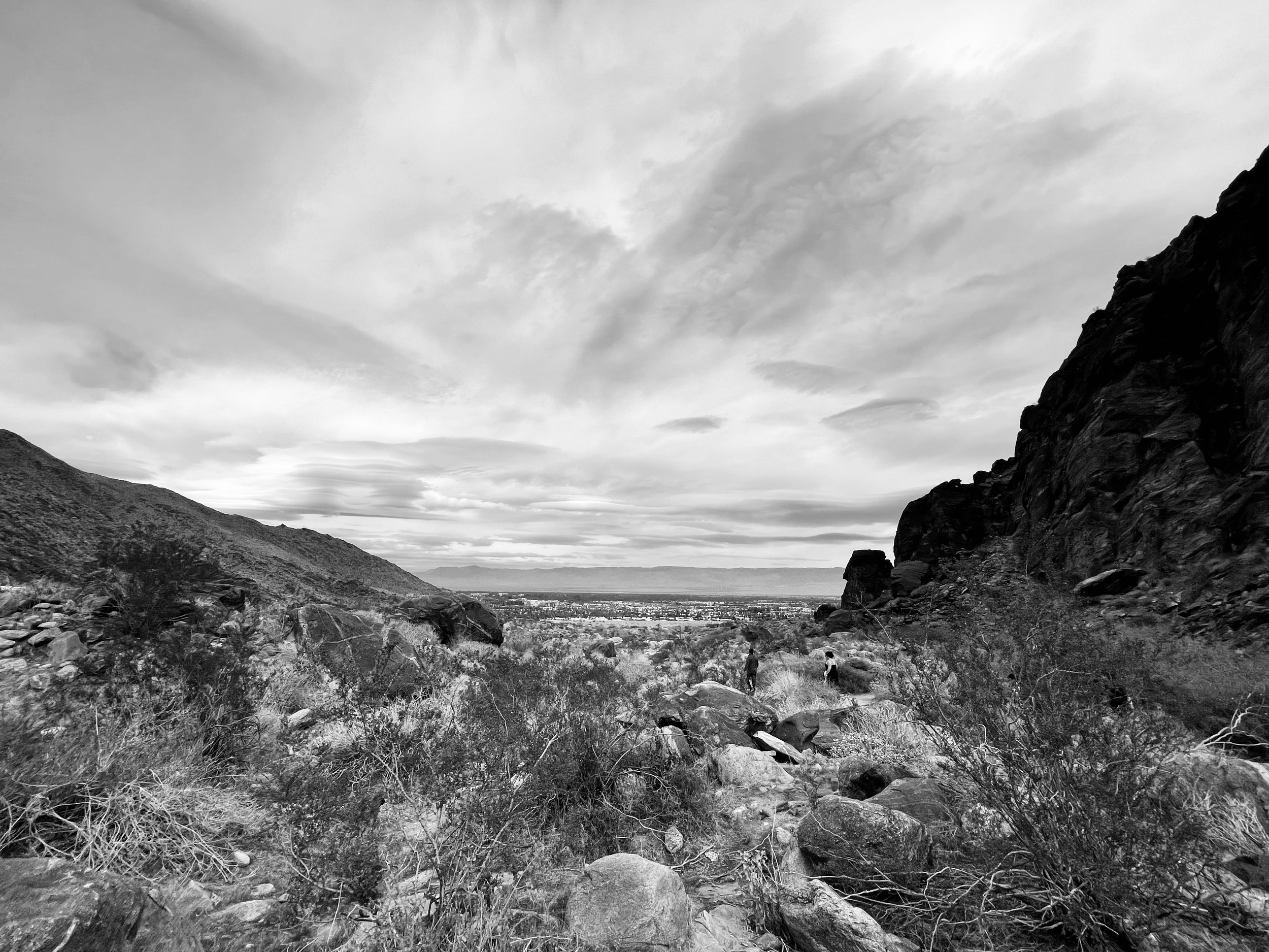 “Palm Desert 2,” 2023; Digital Print.