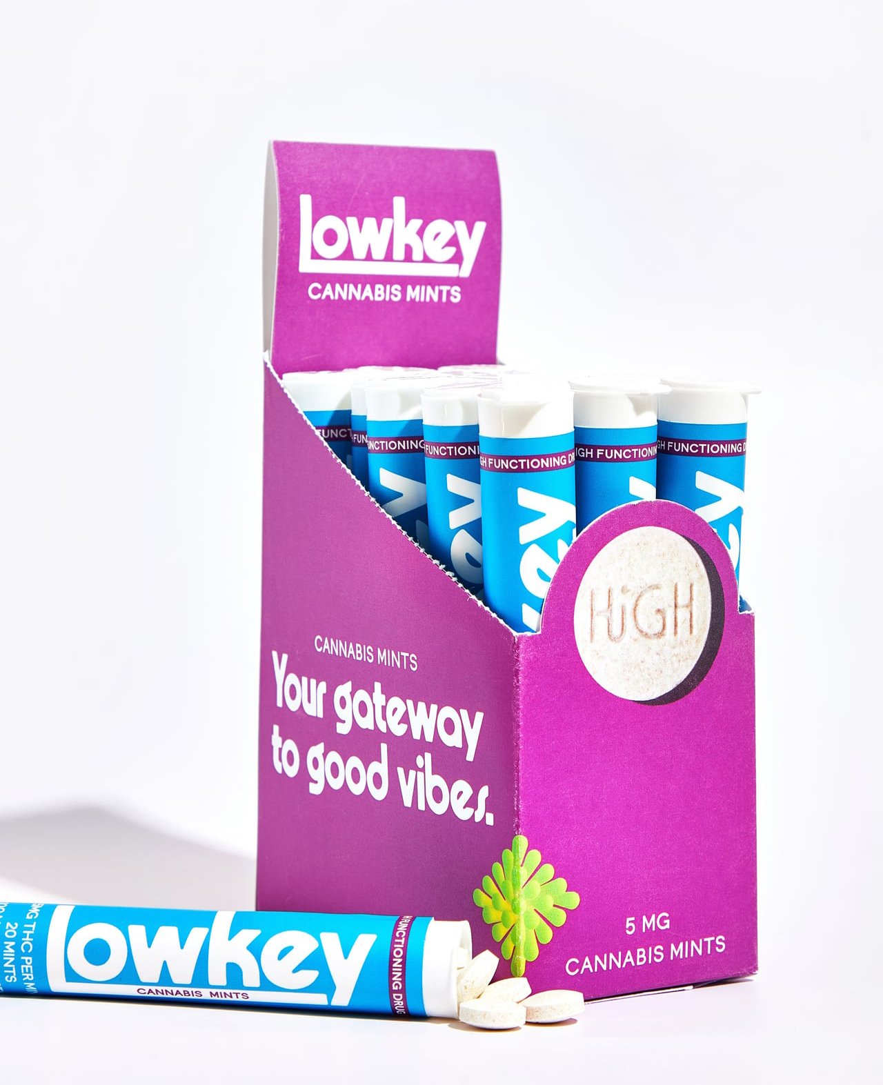 Purple display box of Lowkey cannabis mints, with blue and white packaging.