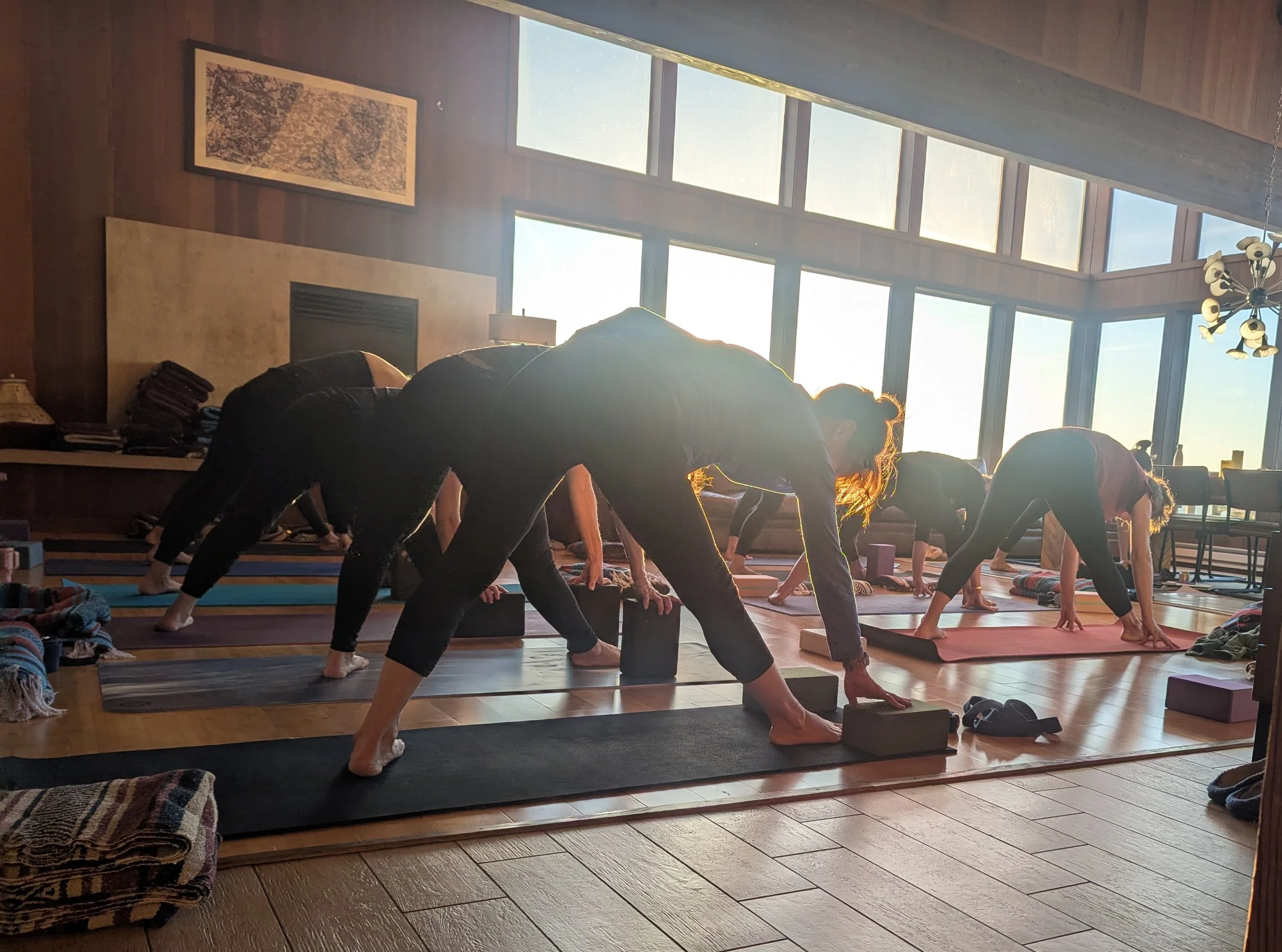 PXL_20250119_004847271.MP (1).jpg